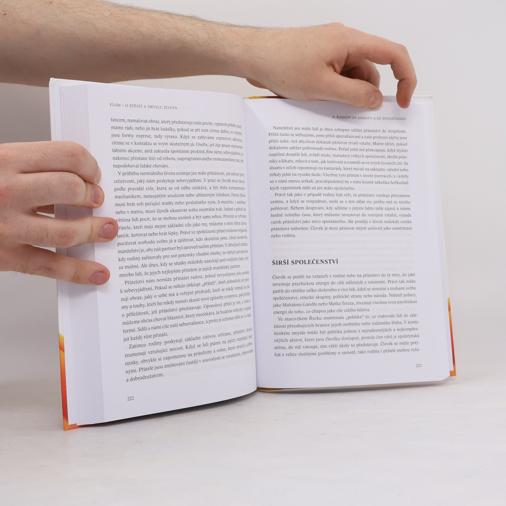 Mihaly Csikszentmihalyi Flow, o štěstí a smyslu života
