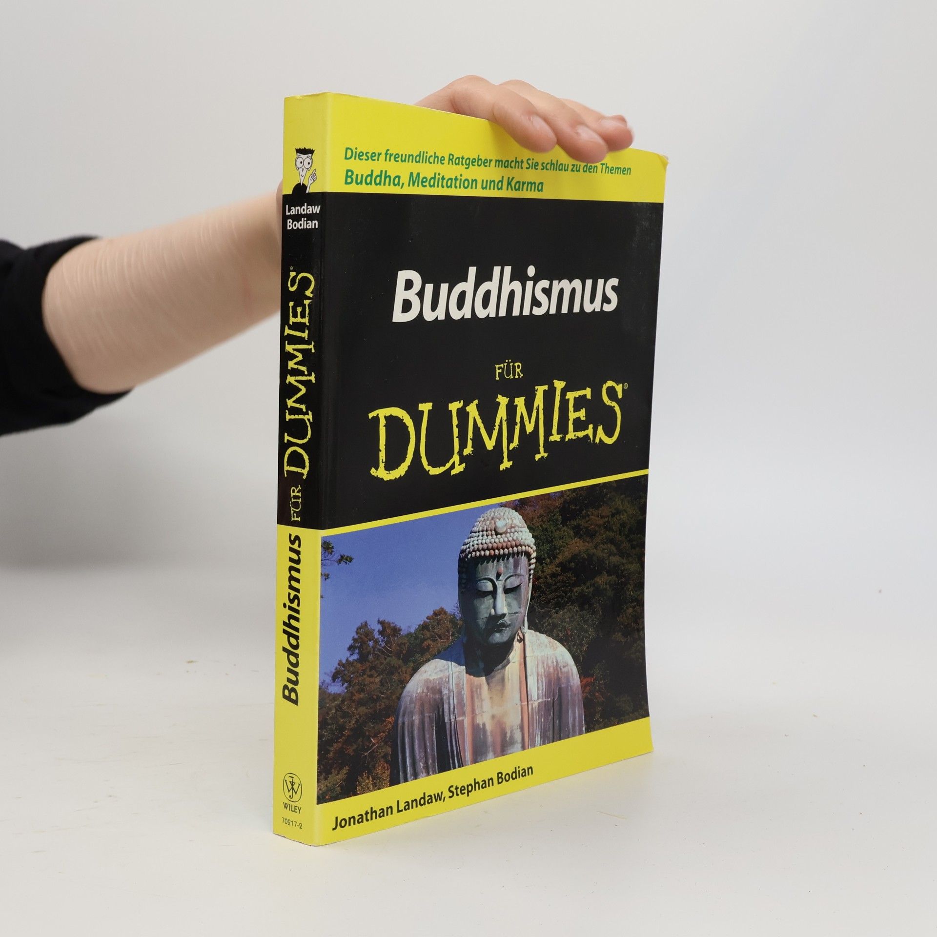Jonathan Landaw Buddhismus für Dummies