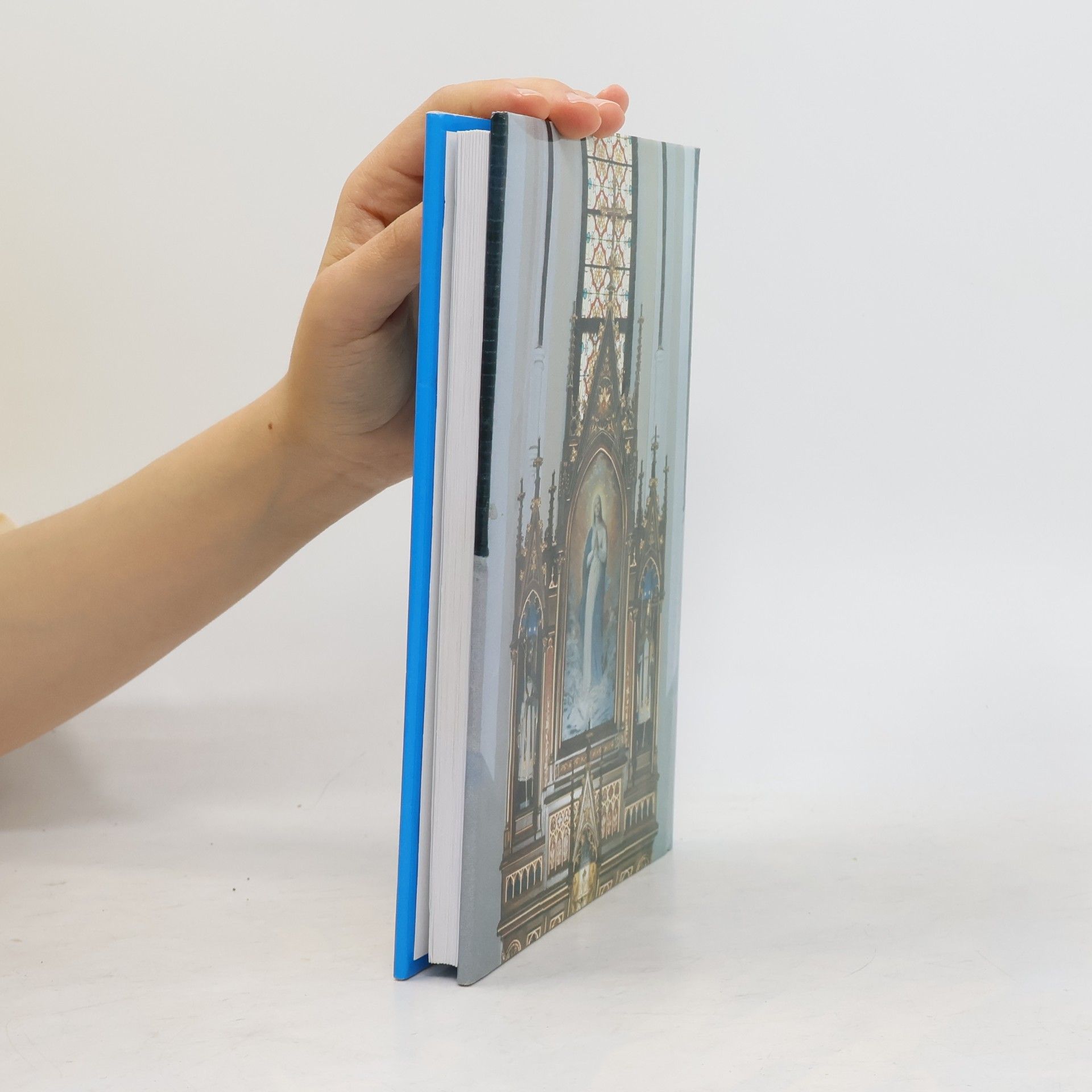 Autorenkollektiv Dějiny farnosti Kobeřice: k 100. výročí posvěcení farního kostela Nanebevzetí Panny Marie v Kobeřicích 1896-1996