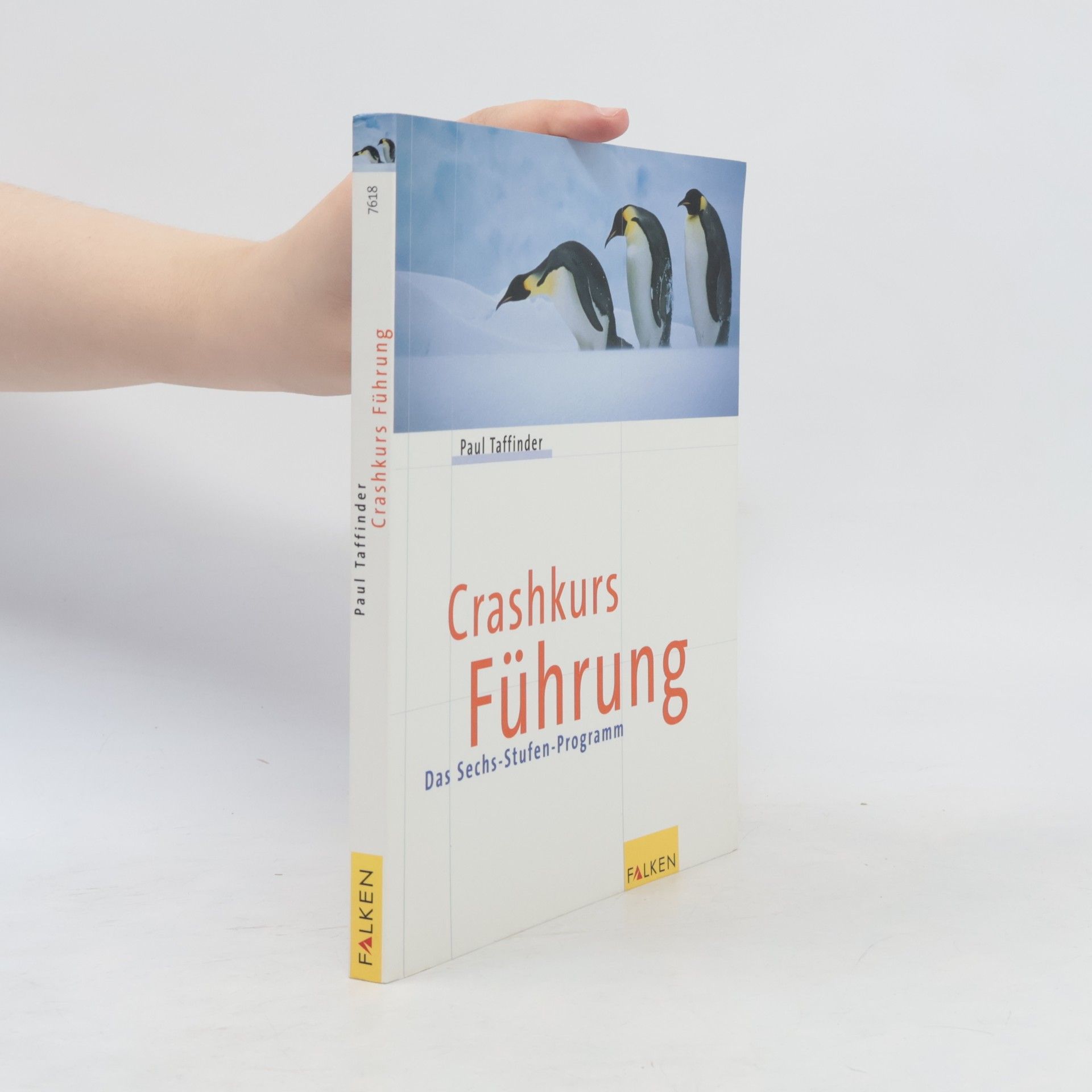 Paul Taffinder Crashkurs Führung
