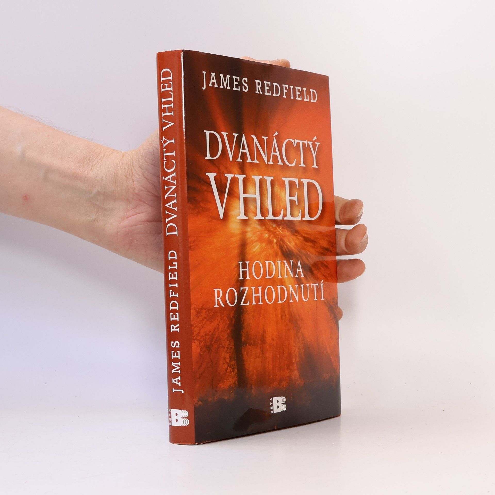 James Redfield Dvanáctý vhled
