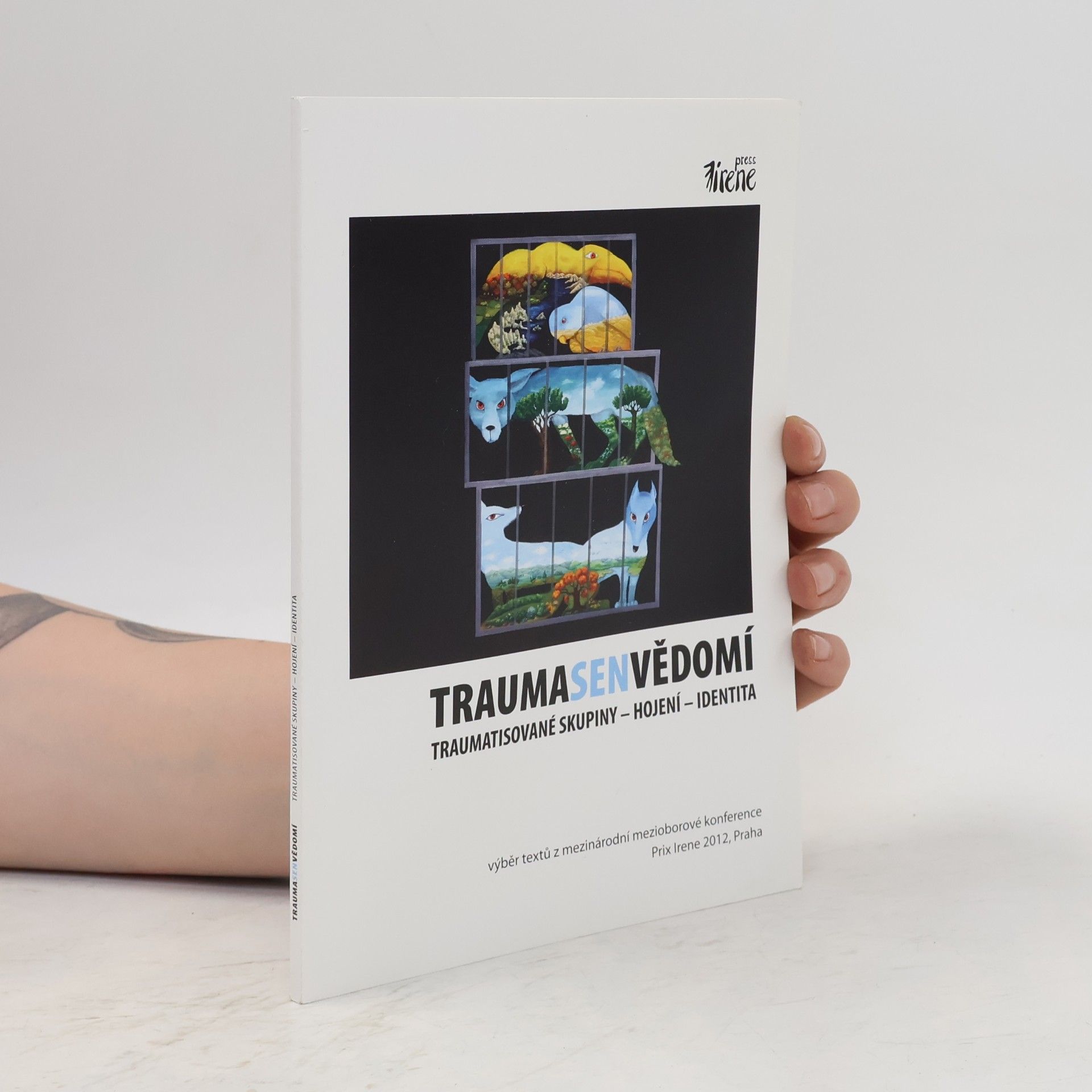 Kolektiv autorů Trauma, sen, vědomí