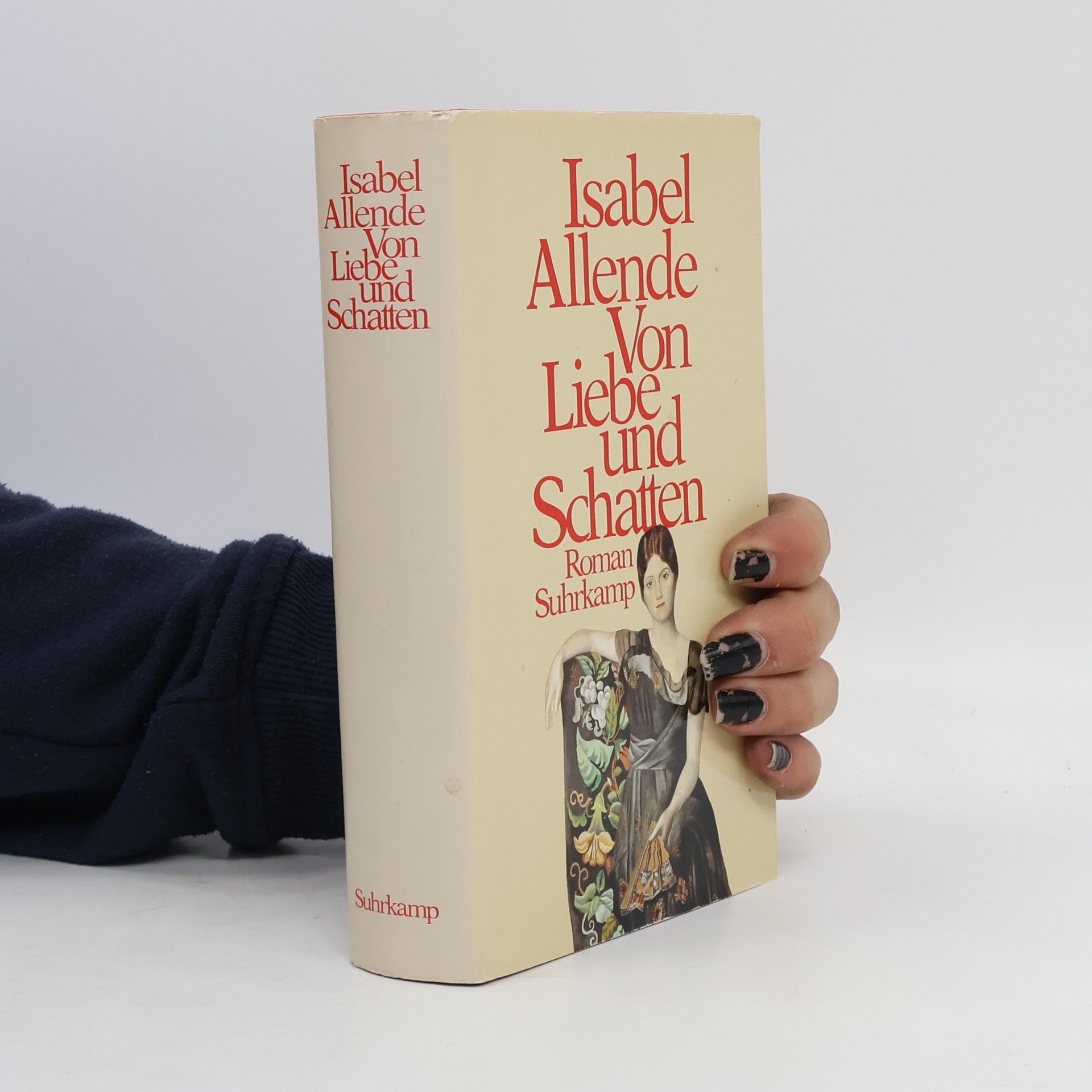Isabel Allende Von liebe und schatten