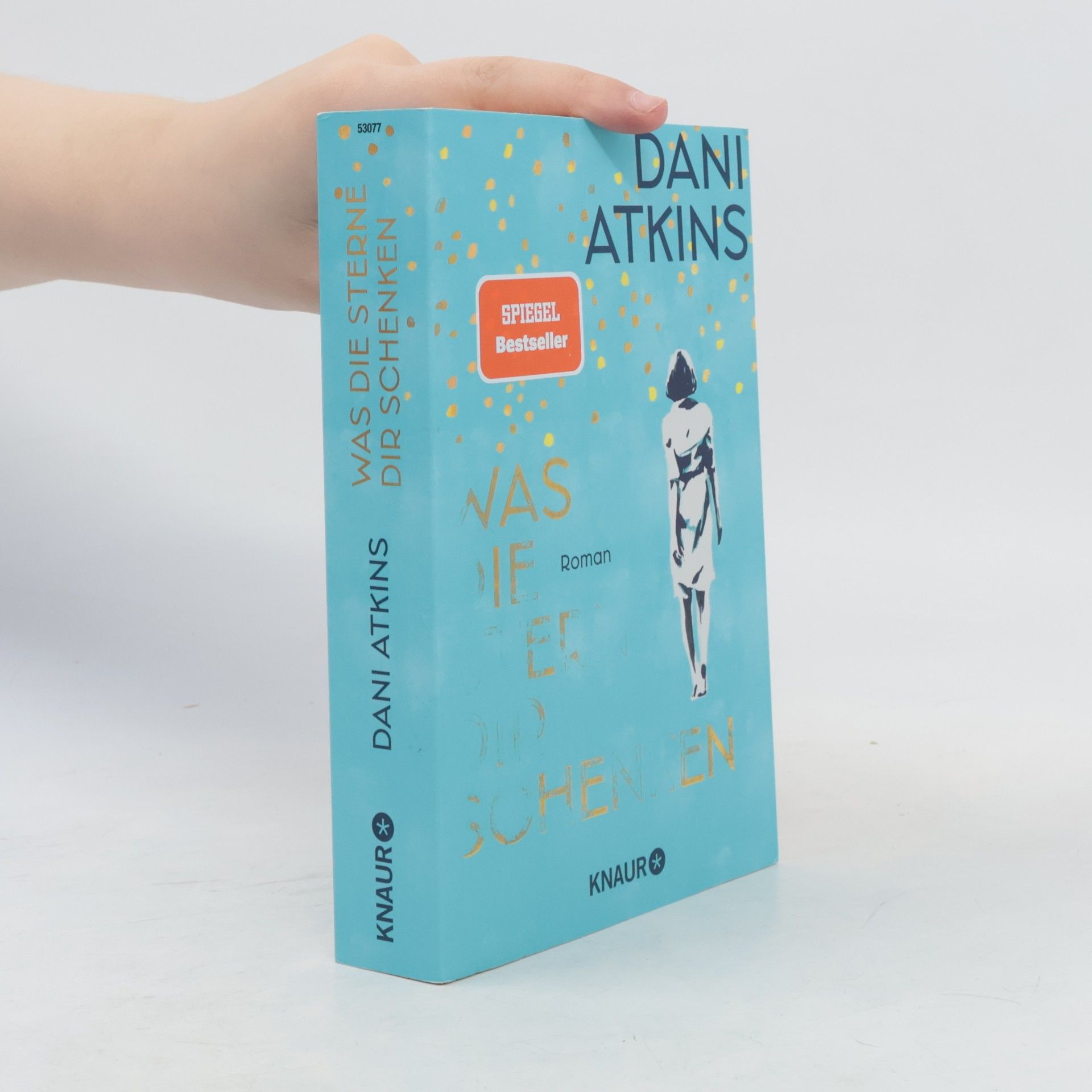 Dani Atkins Was die Sterne dir schenken