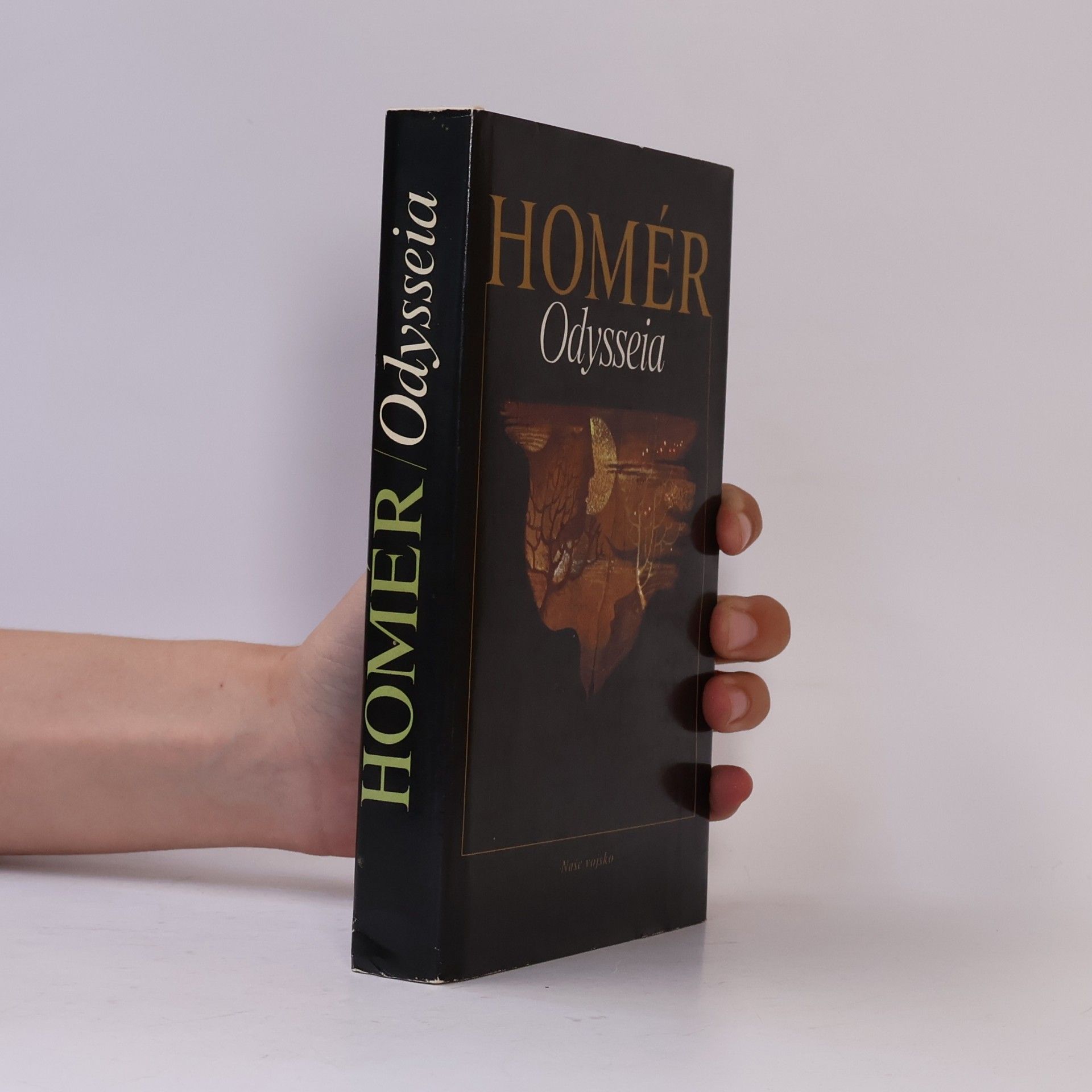 Homér Odysseia