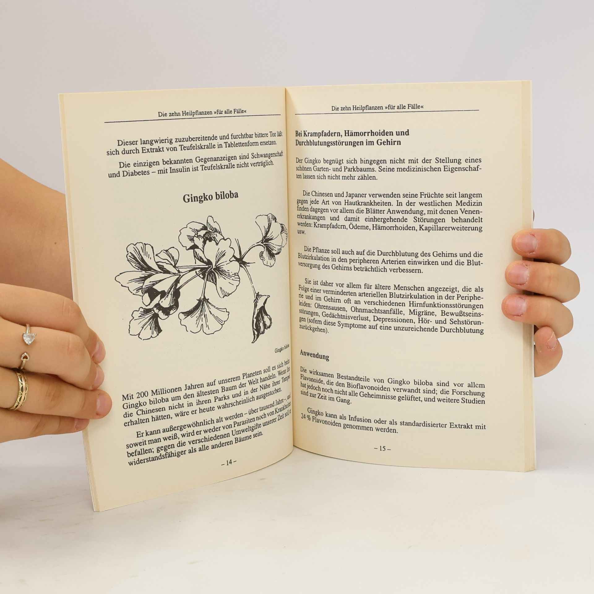 Autorenkollektiv Die Hausapotheke