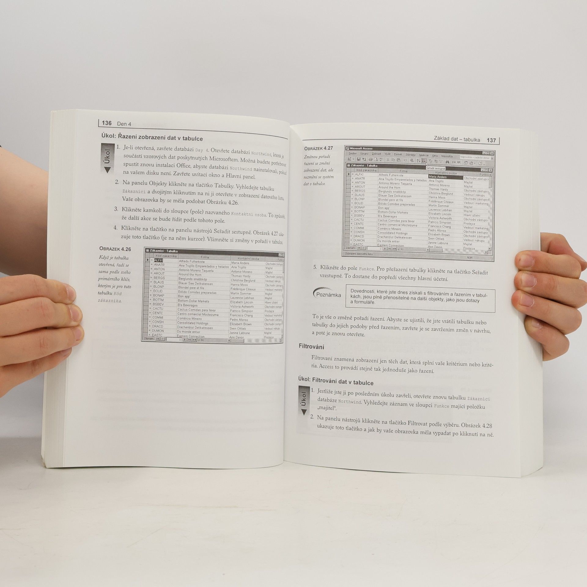 Paul Cassel Nauč se sám Microsoft Access 2002 za 21 dní