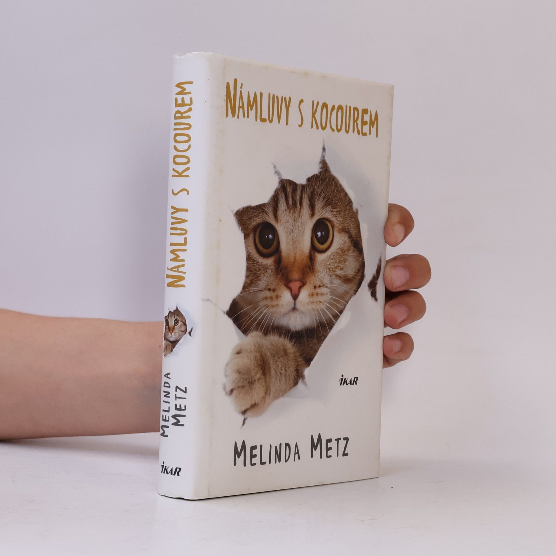 Melinda Metz Námluvy s kocourem