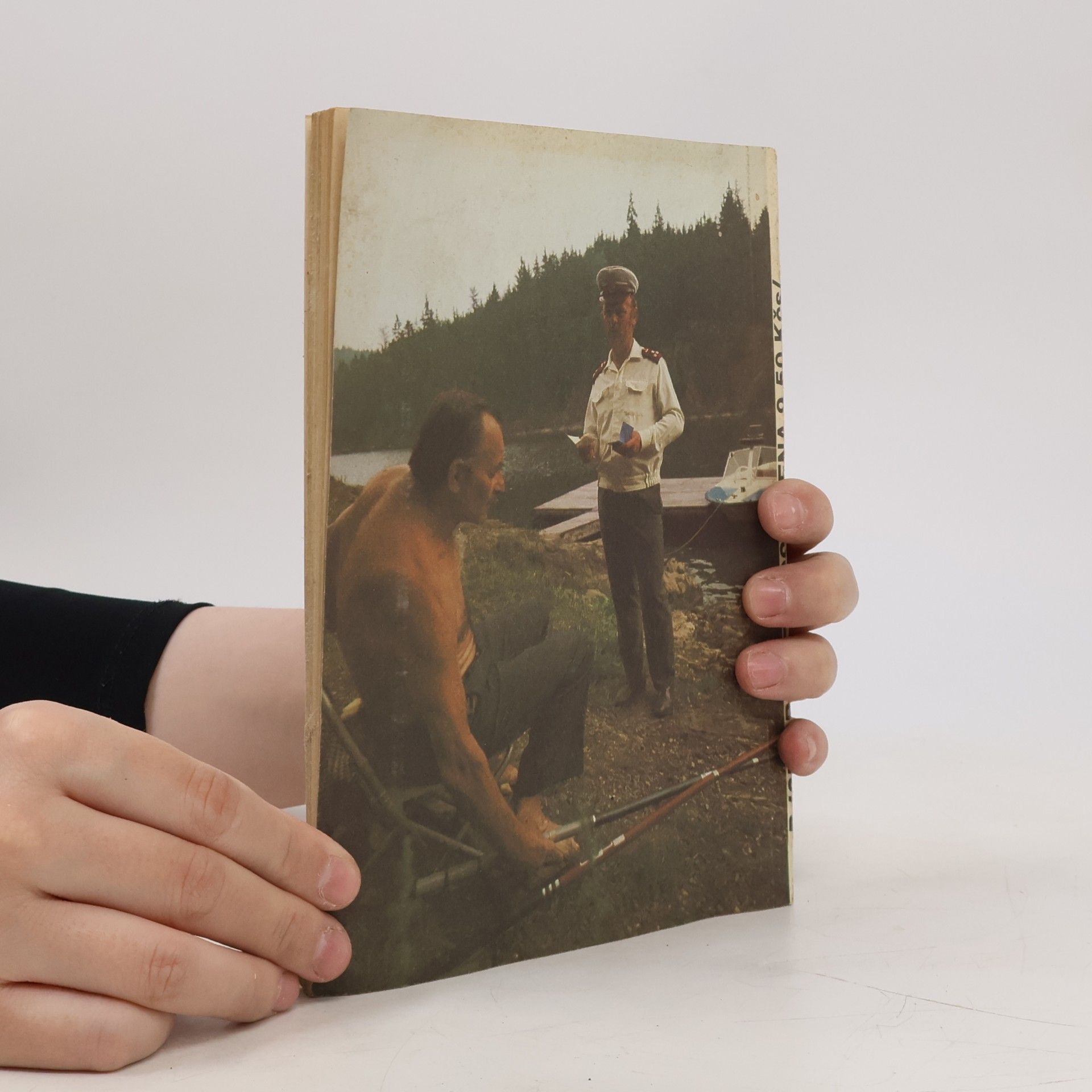 Autorenkollektiv Bezpečnost '87 : Příloha časopisu Bezpečnost