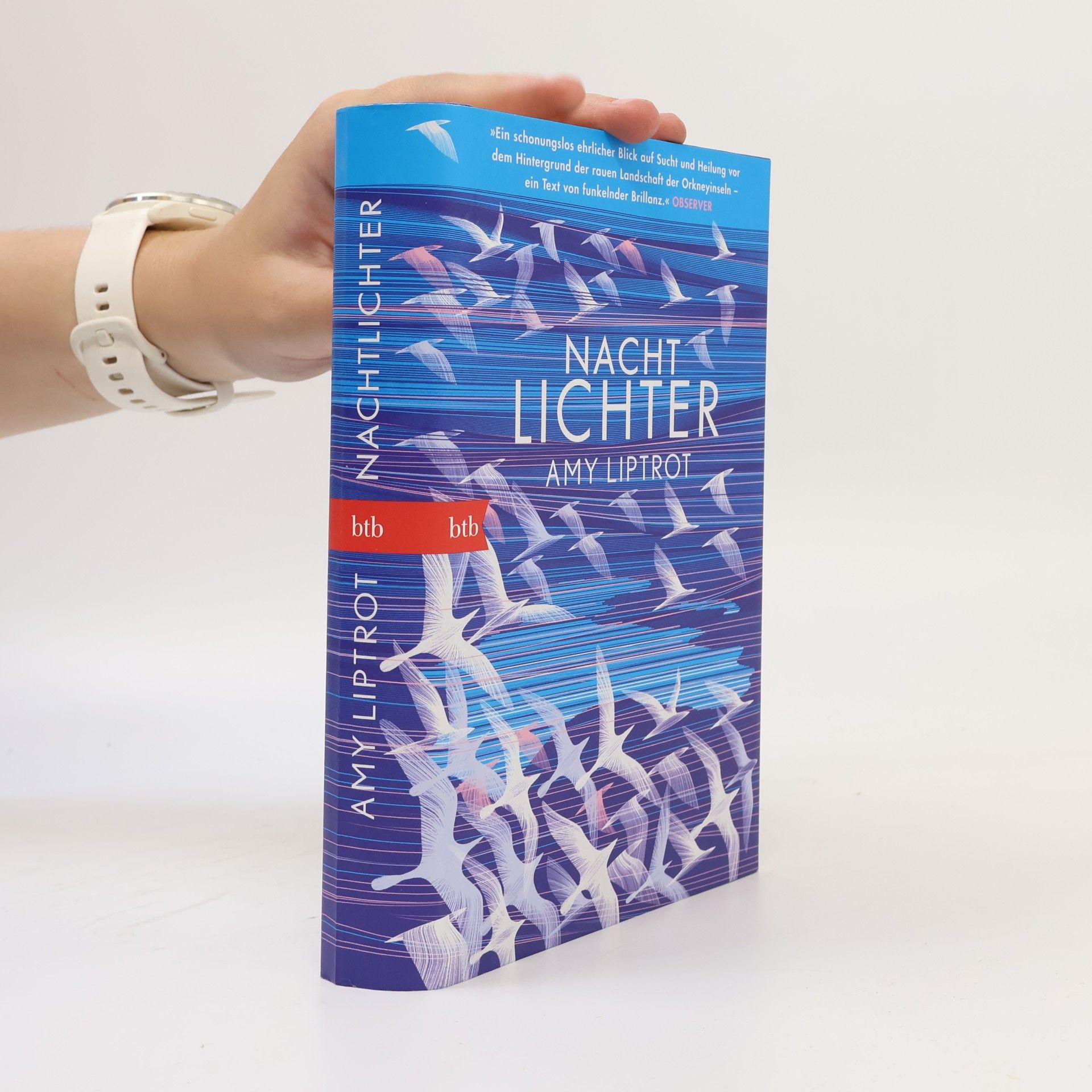 Amy Liptrot Nachtlichter