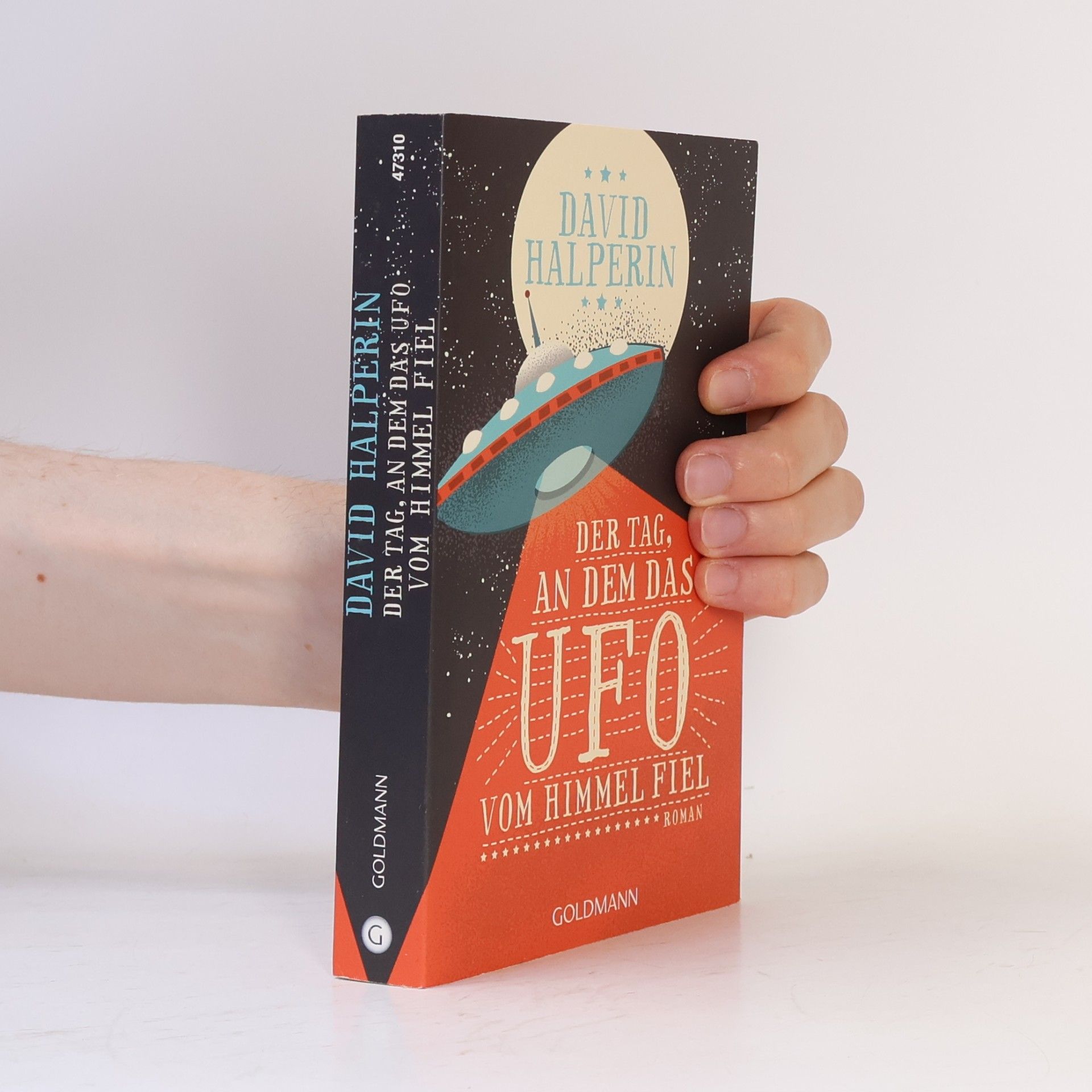 David Halperin Der Tag, an dem das UFO vom Himmel fiel