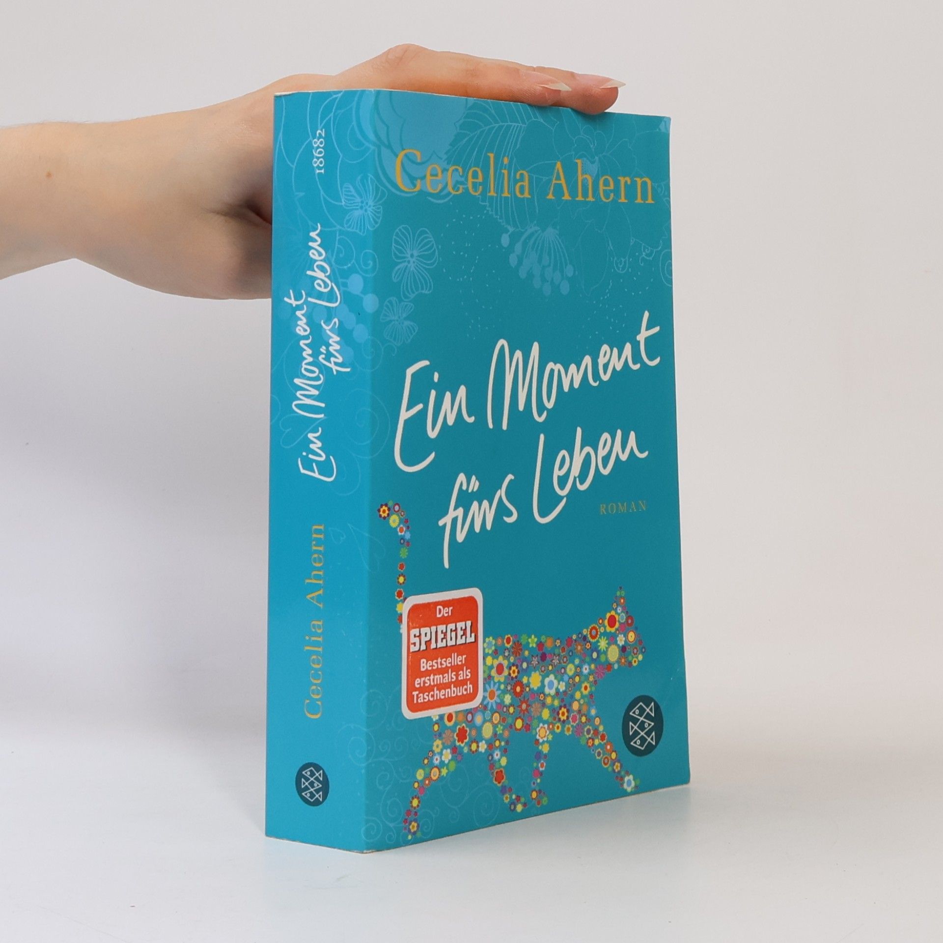 Cecelia Ahern Ein Moment fürs Leben