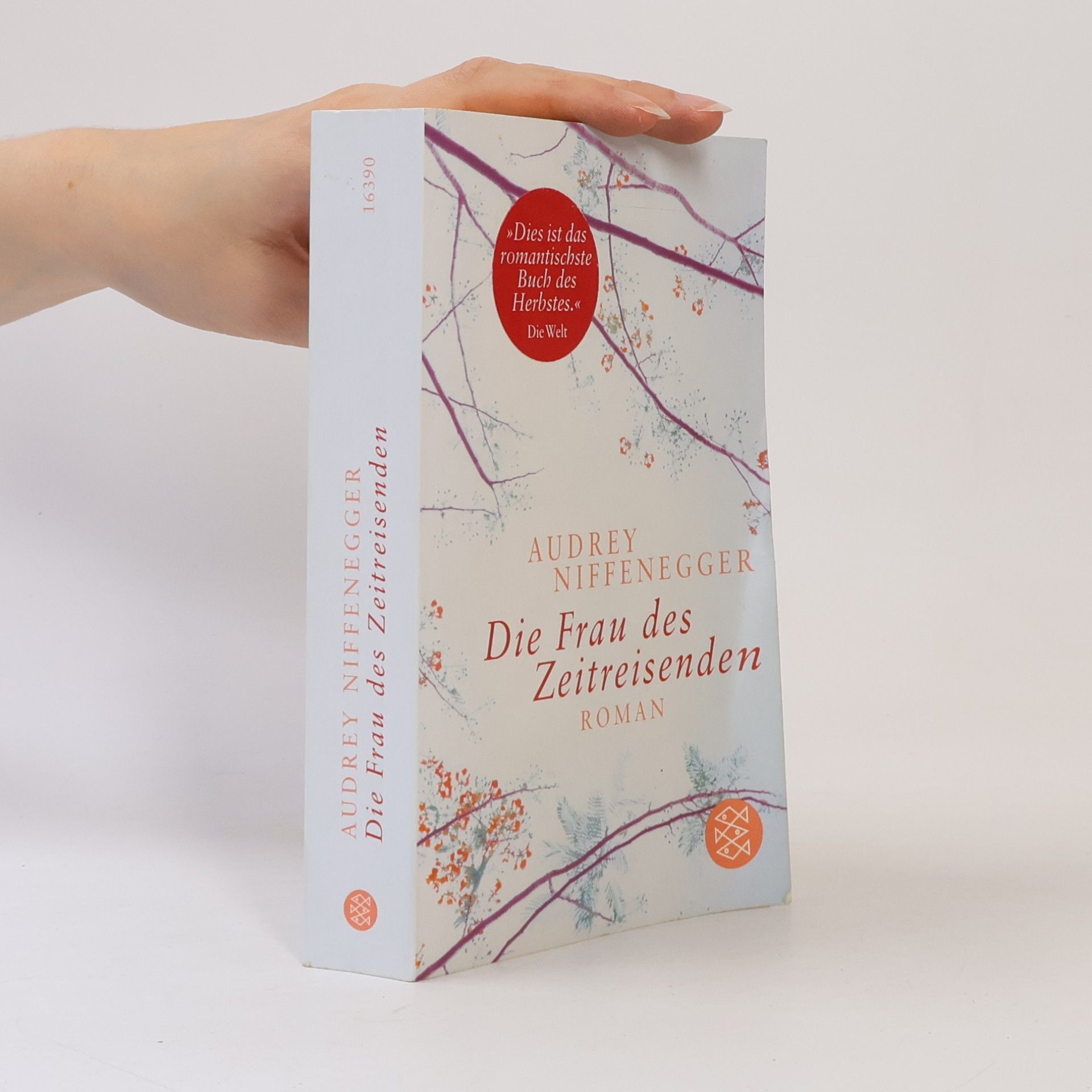 Audrey Niffenegger Die Frau des Zeitreisenden