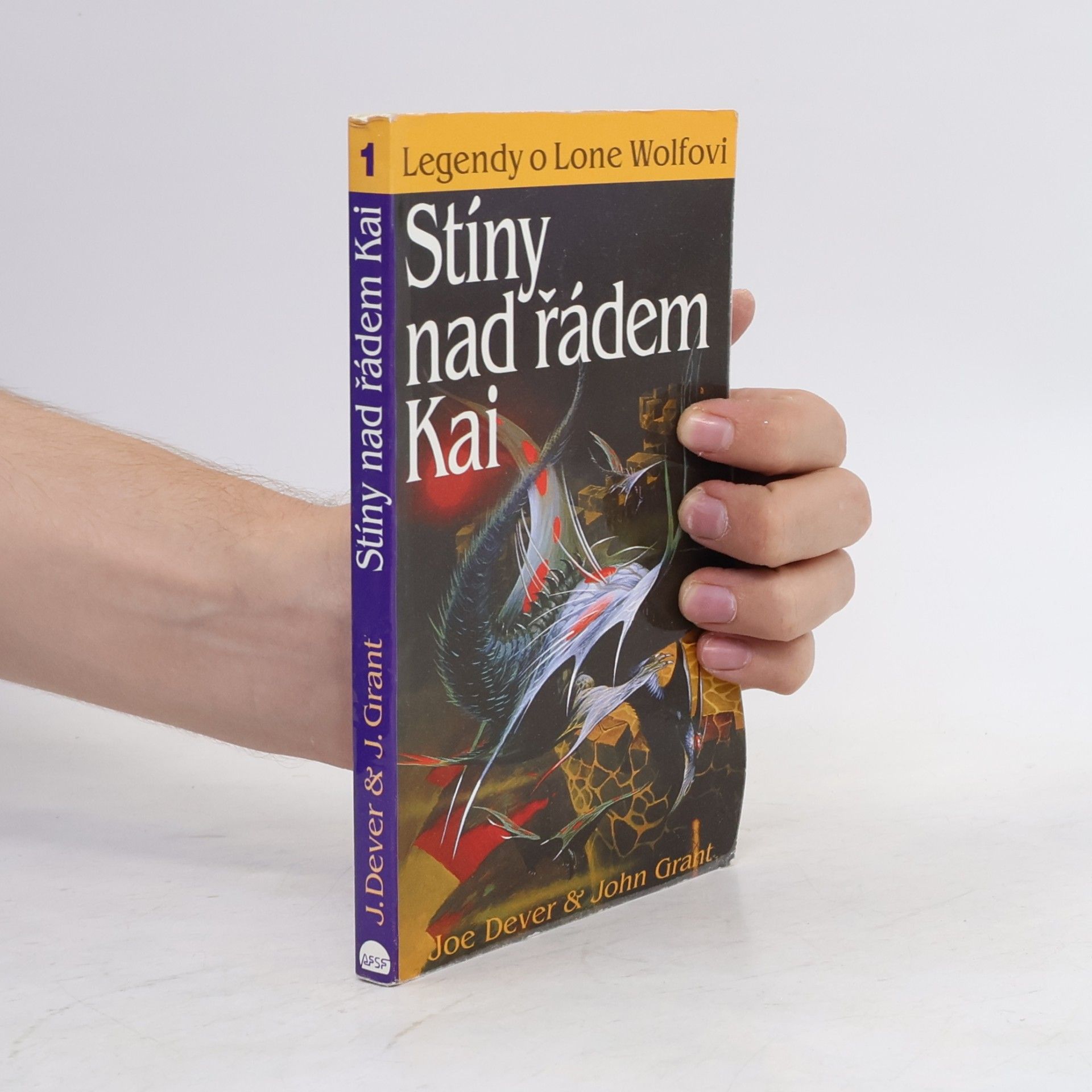 John Grant Stíny nad řádem Kai