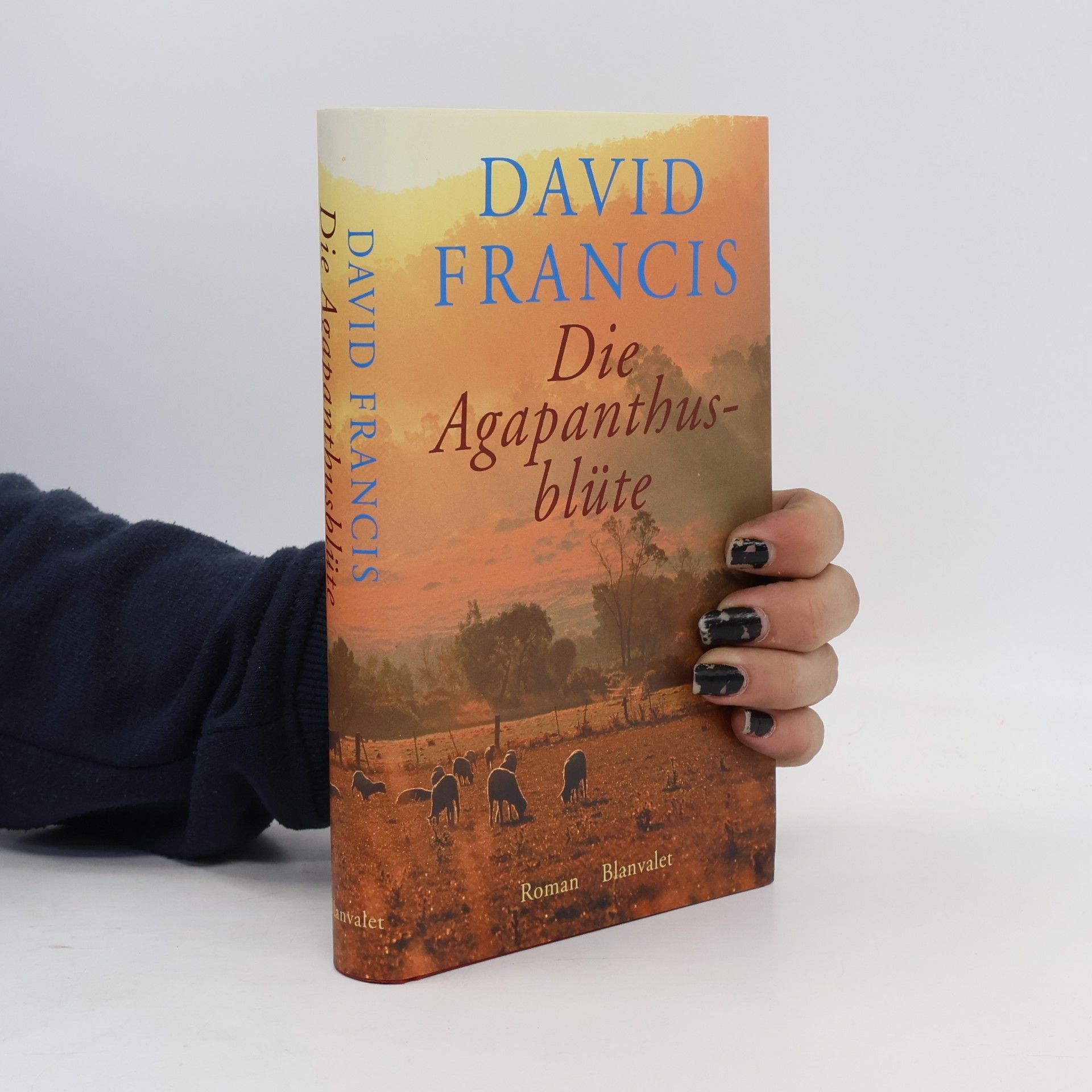 David Francis Die Agapanthusblüte