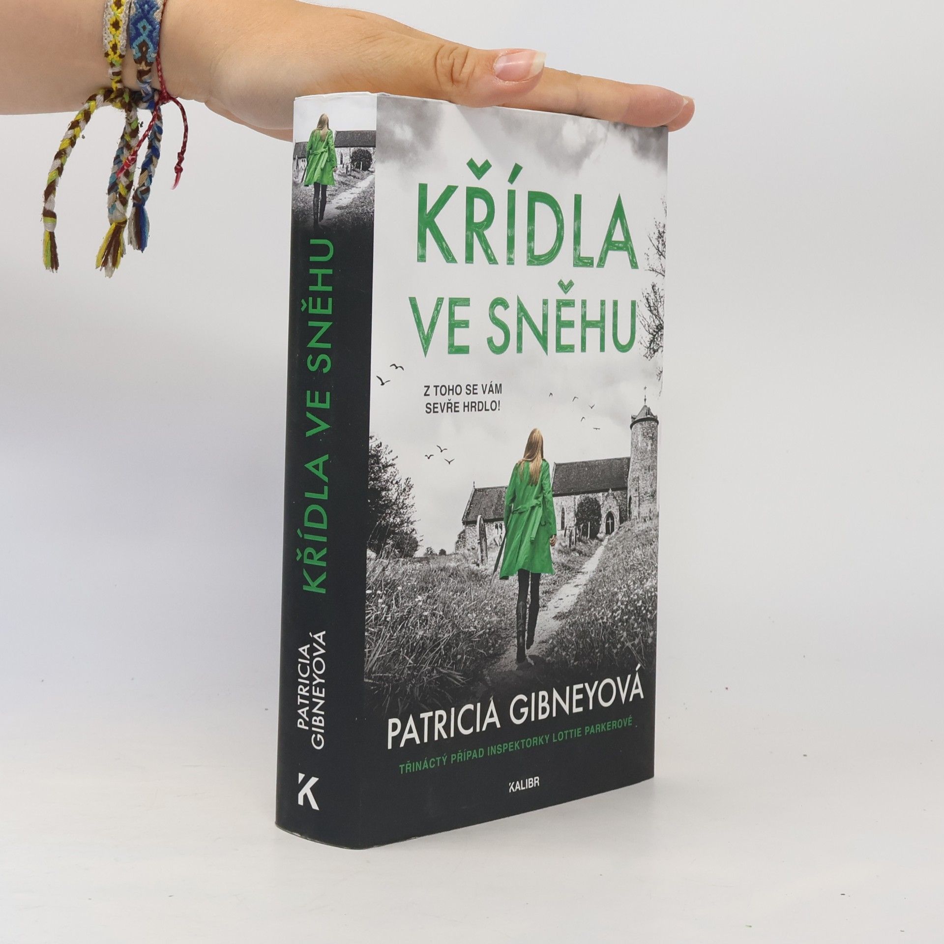 Patricia Gibney Křídla ve sněhu