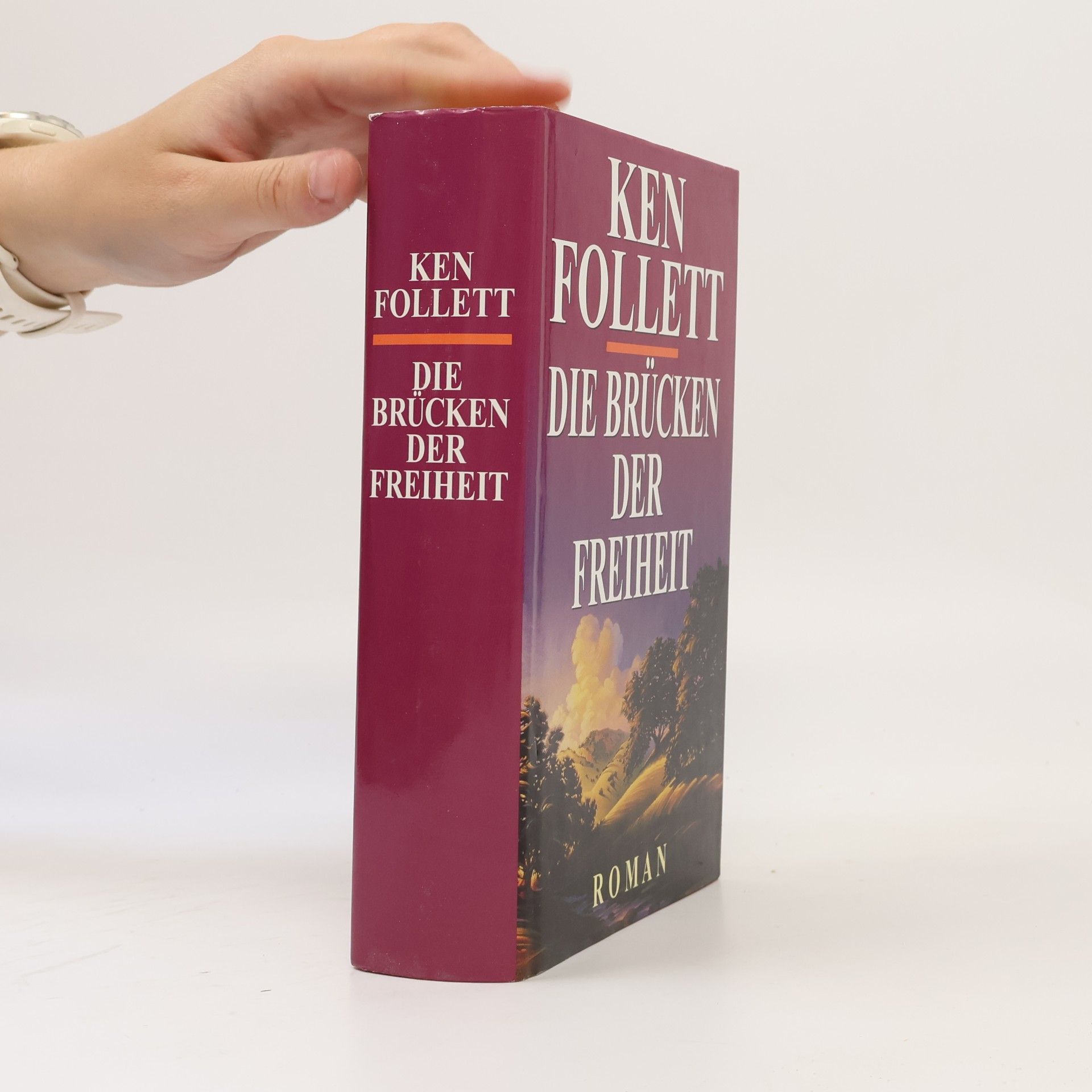 Ken Follett Die Brücken der Freiheit
