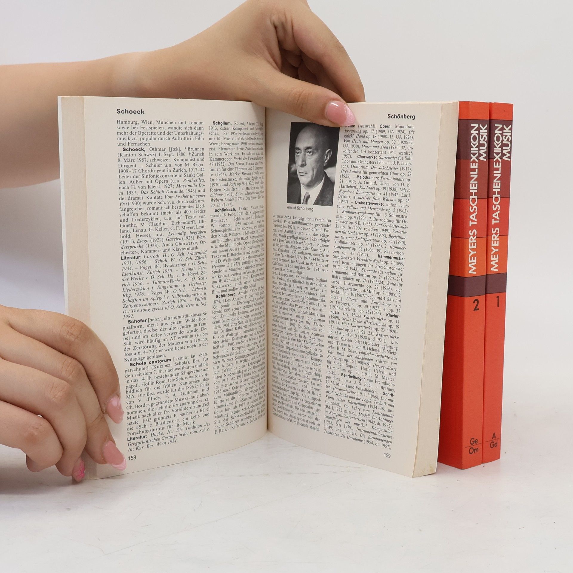Hans Heinrich Eggebrecht Meyers Taschenlexikon: Musik 3, On-Zz