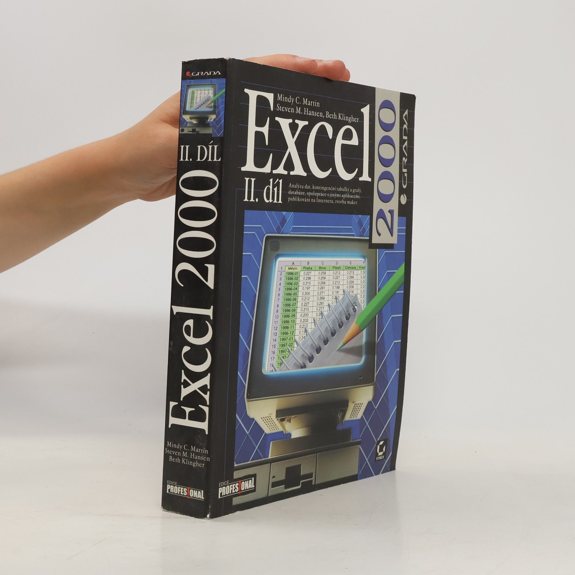 Beth Klingher Excel 2000 II. díl
