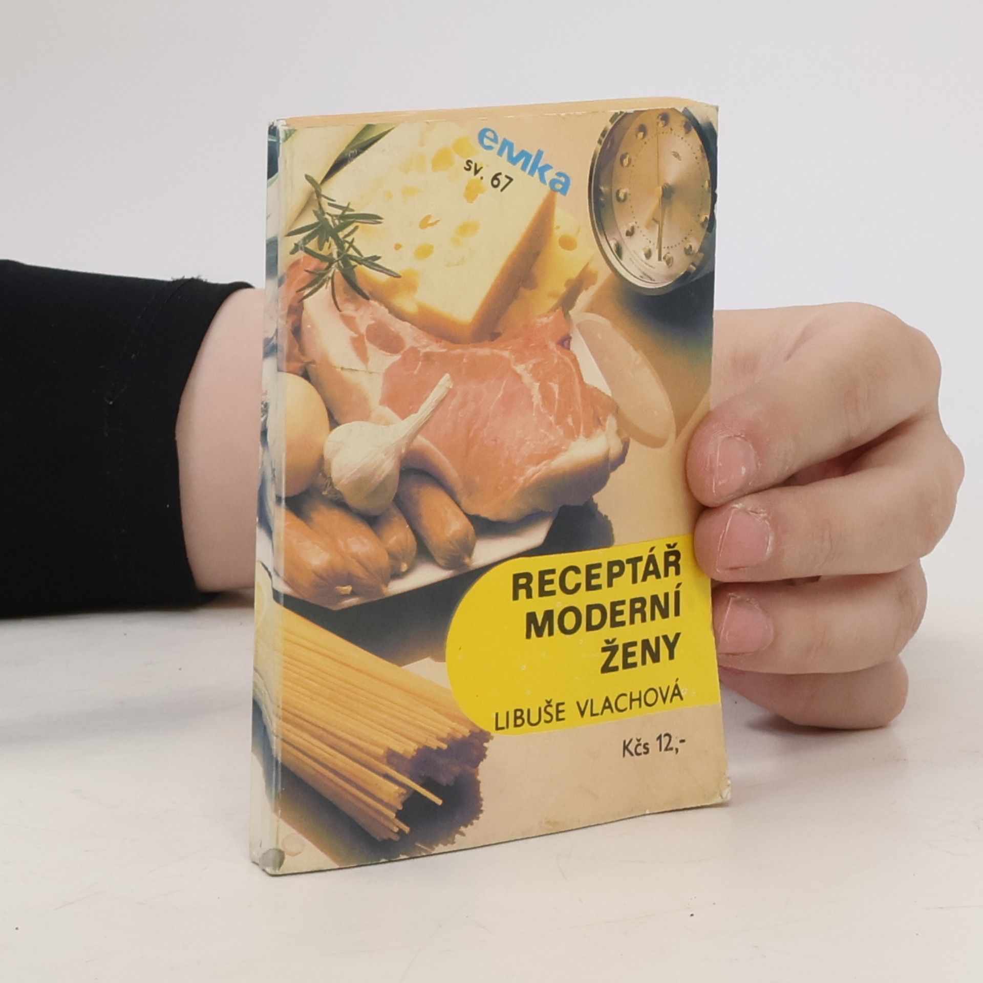 Libuše Vlachová Receptář moderní ženy