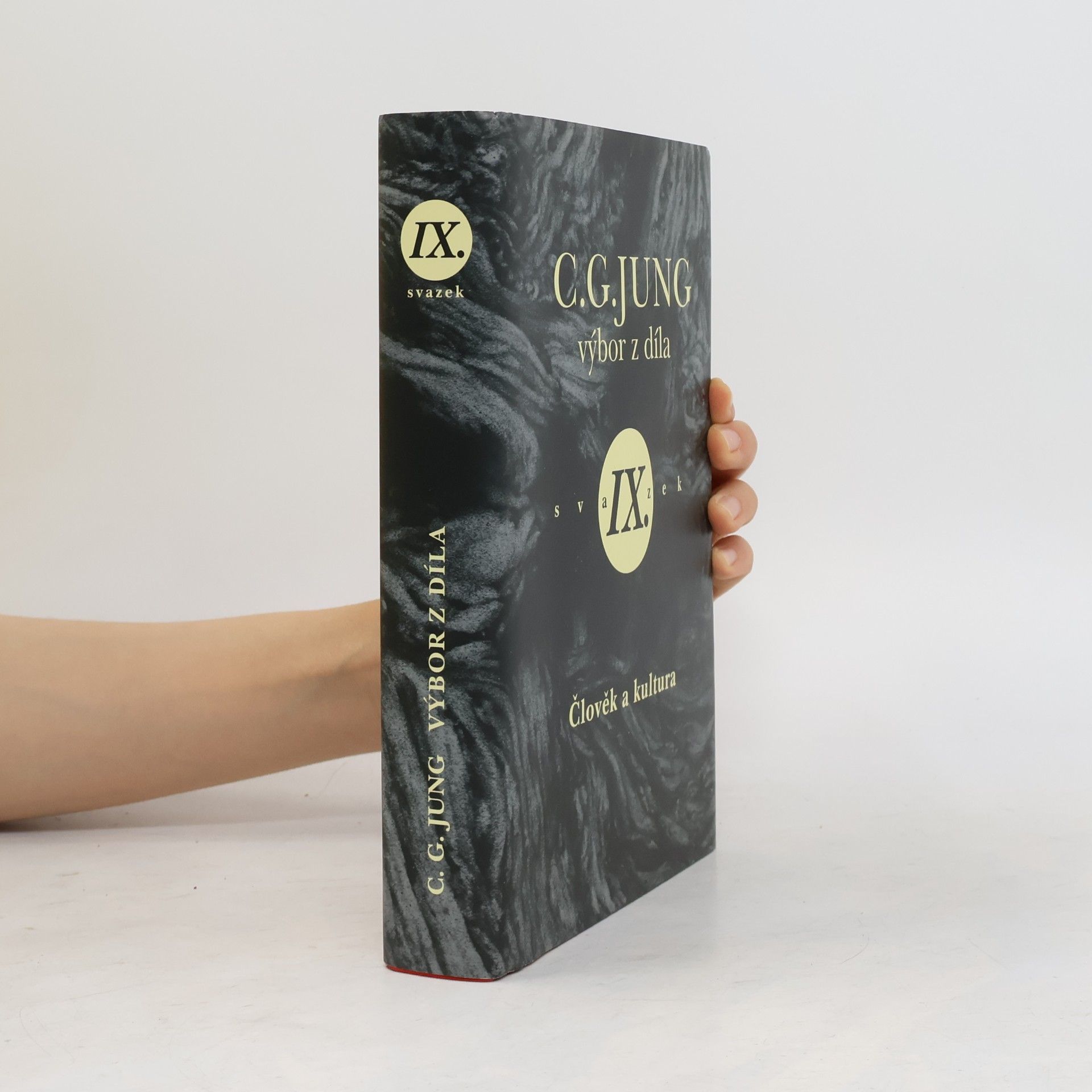 Carl Jung Výbor z díla IX.