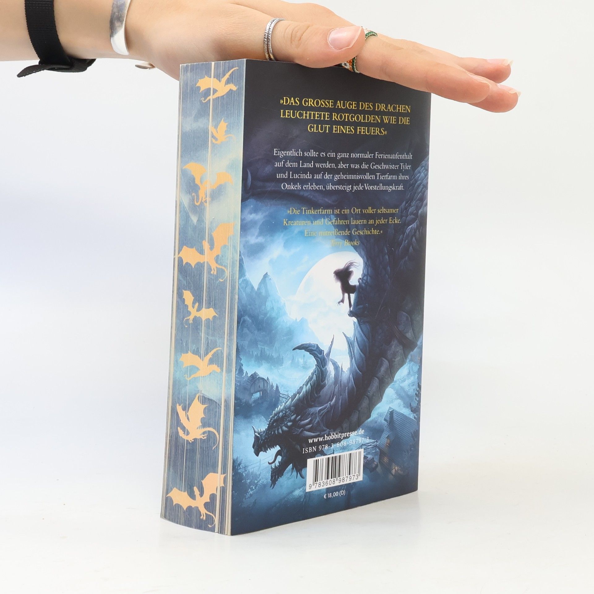 Tad Williams Die Drachen der Tinkerfarm
