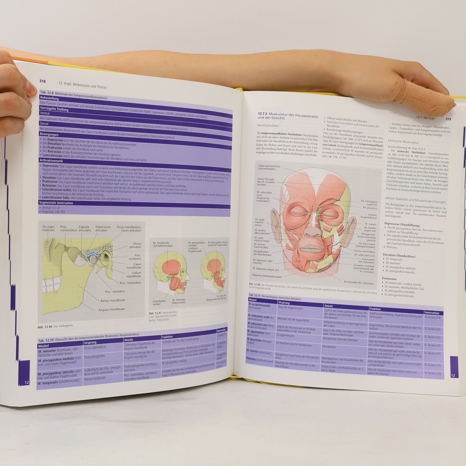 Christoff Zalpour Für die Physiotherapie: Anatomie, Physiologie