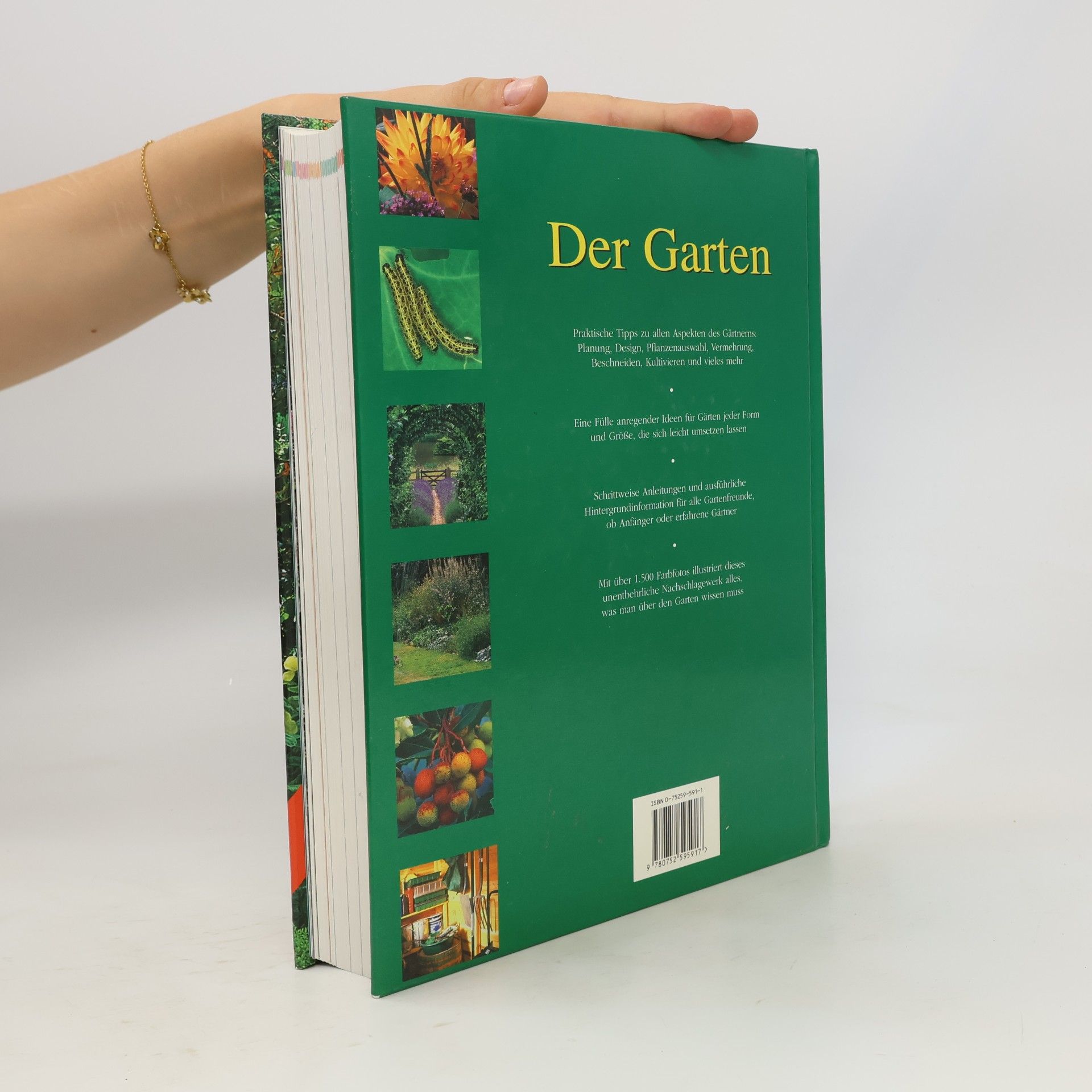 Deena Beverley Der Garten