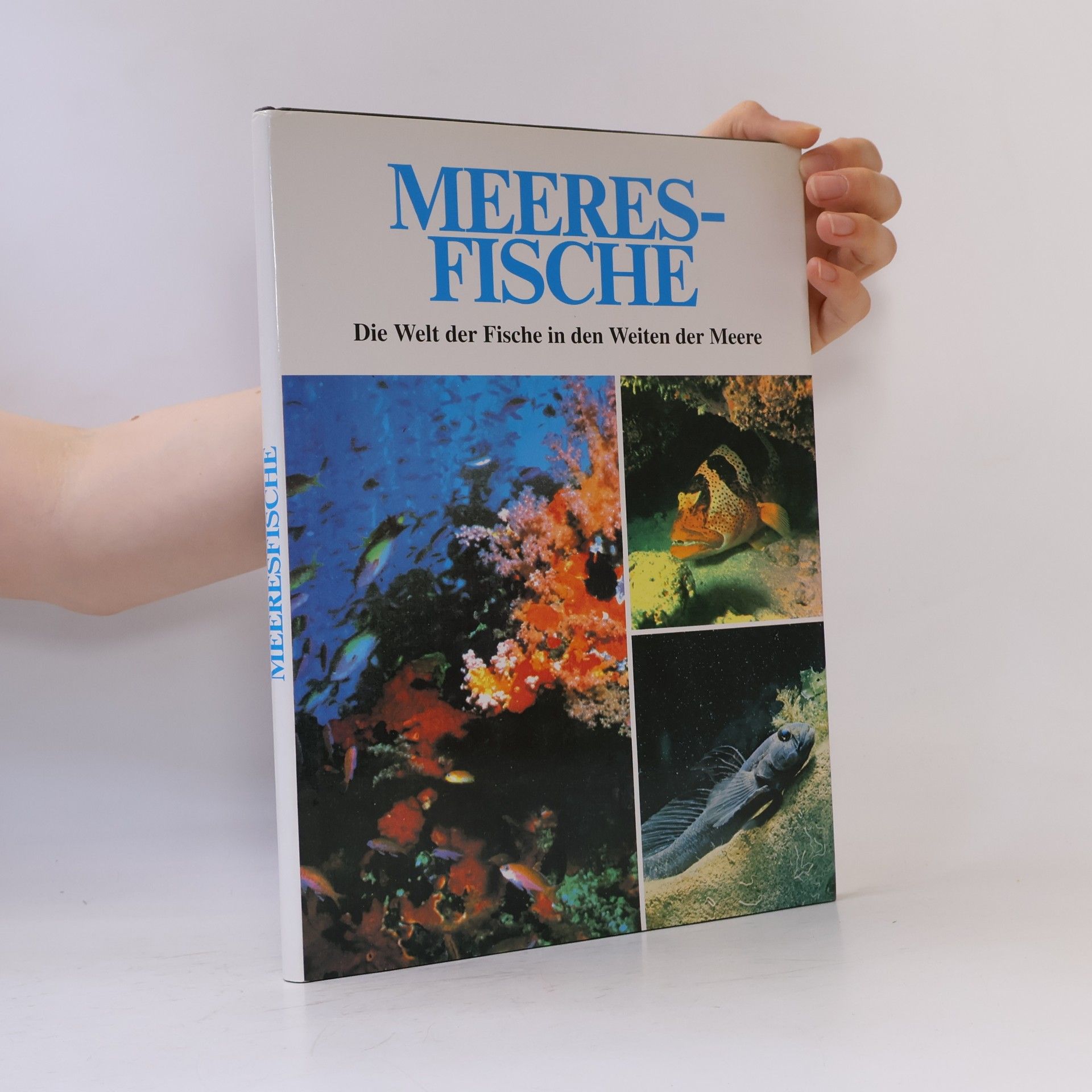 Gisella Dedionigi Meeres-Fische