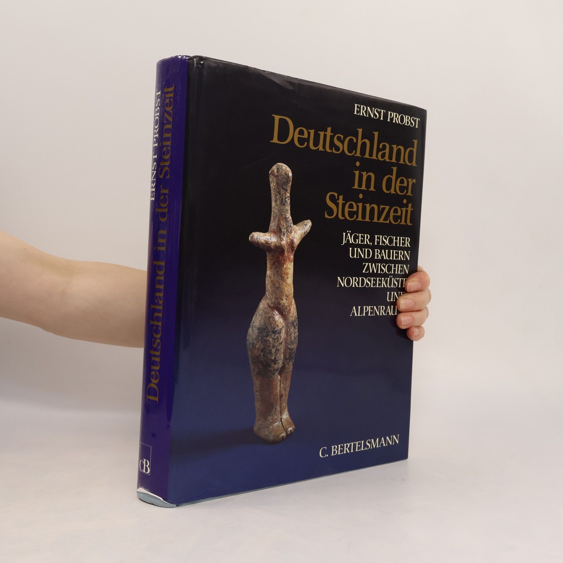 Deutschland in der Steinzeit