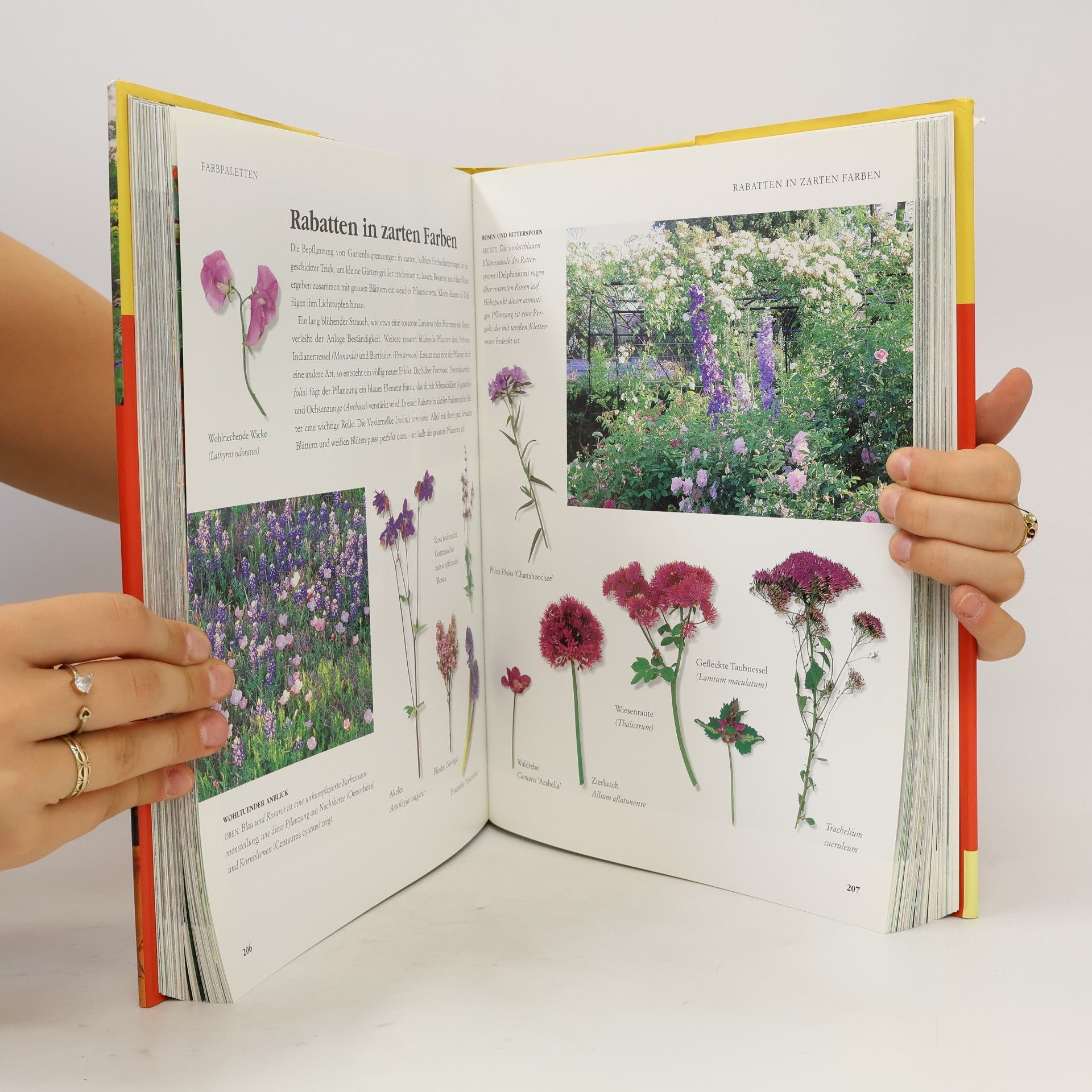 Sharon Amos Das große Buch der Garten-Ideen