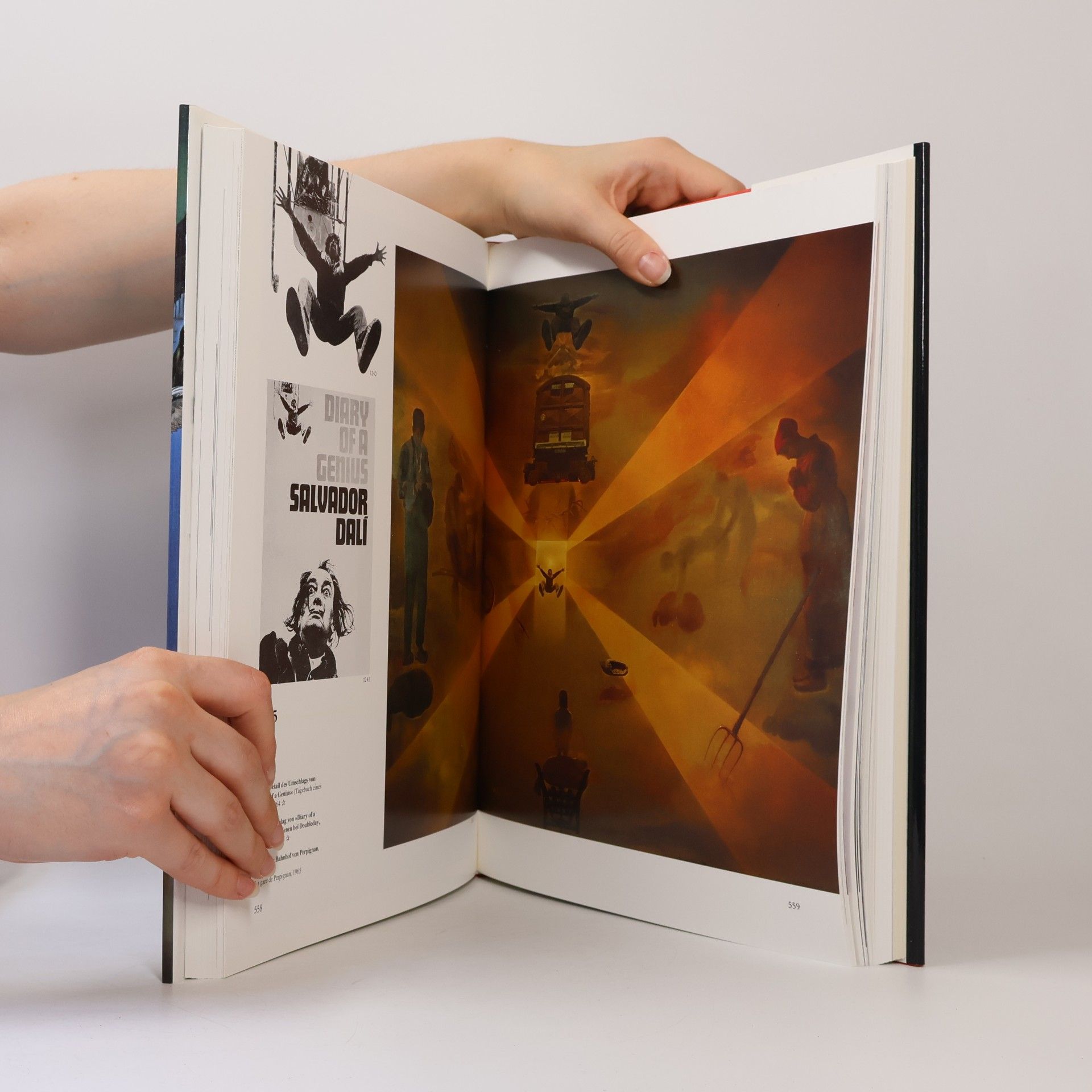 Benedikt Taschen Dalí Sämtliche Gemälde I-II. 1904-1989.