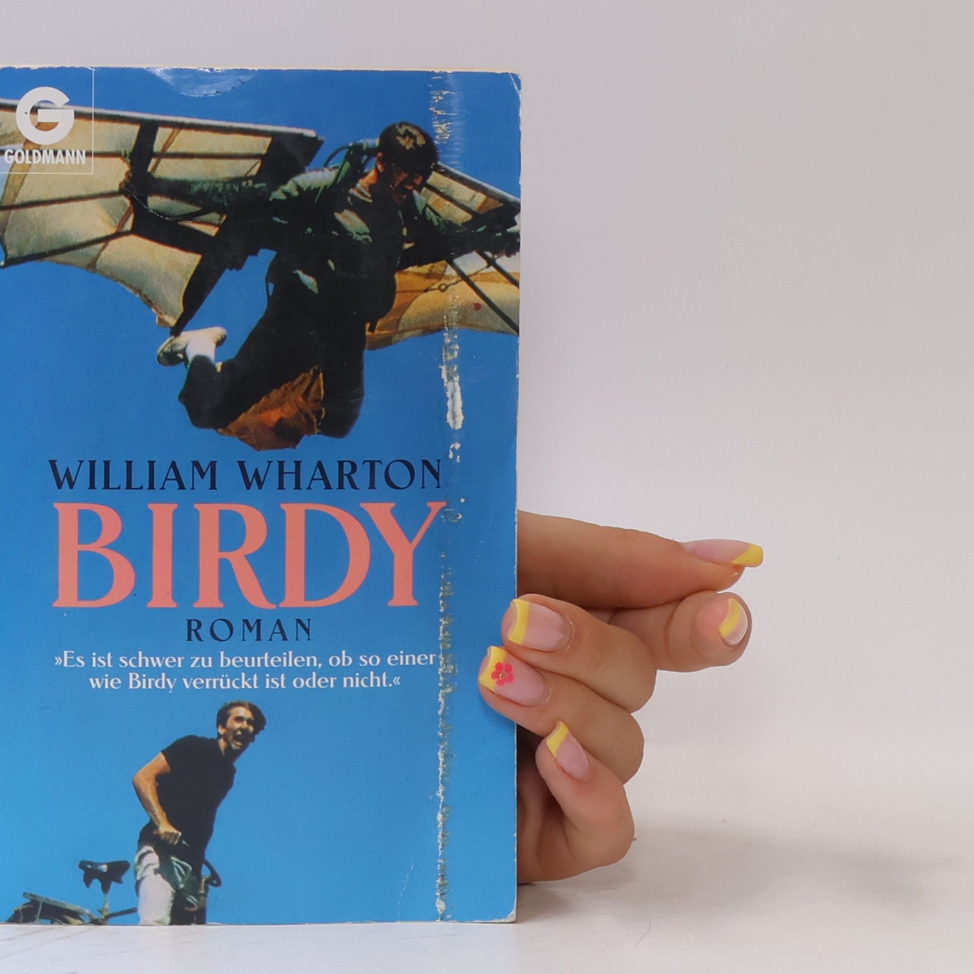 William Wharton Birdy
