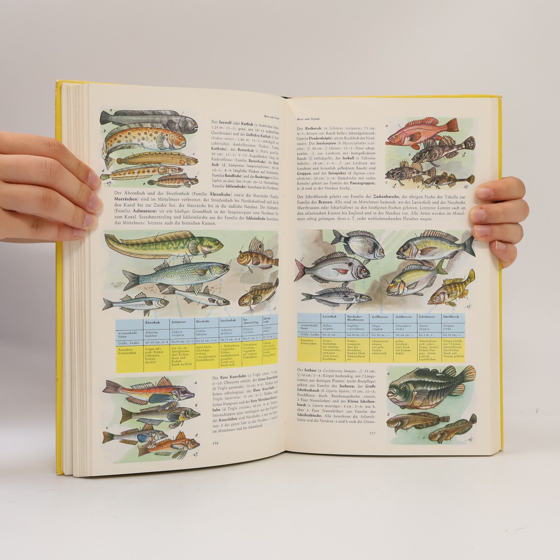 Harry Garms Handbuch der Natur