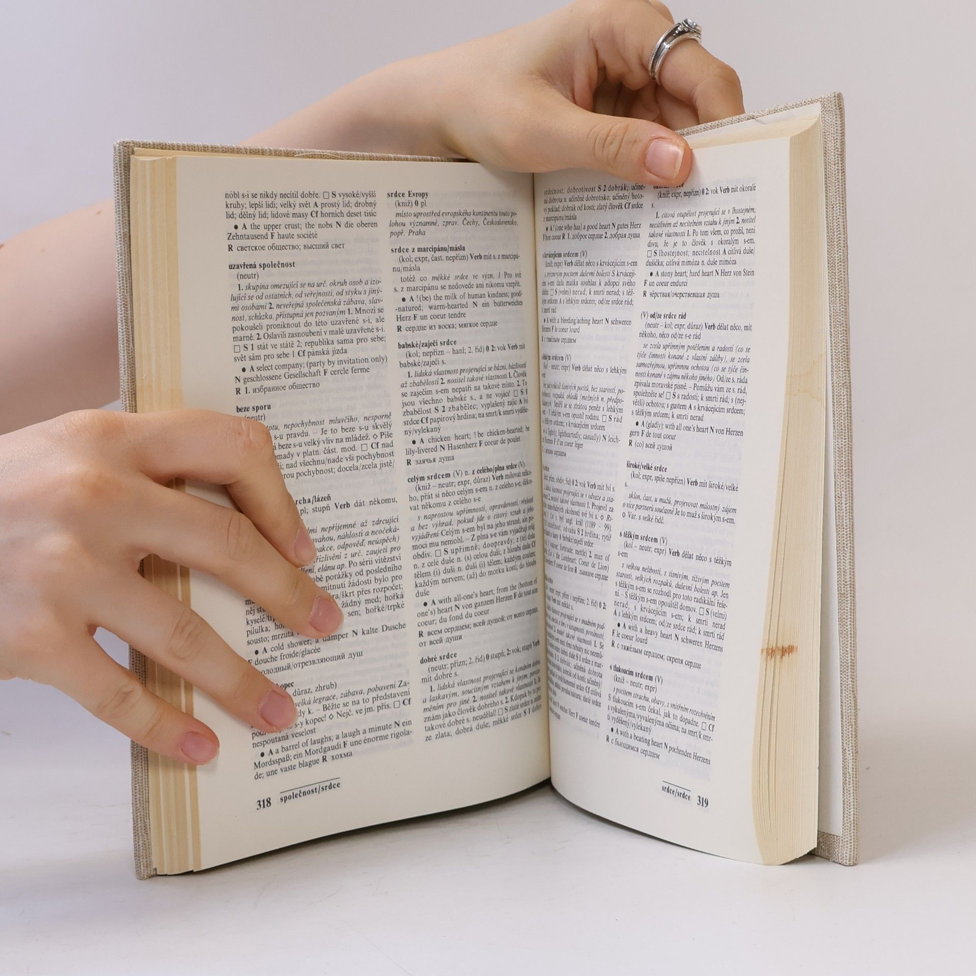 František Čermák Slovník české frazeologie a idiomatiky. Výrazy neslovesné