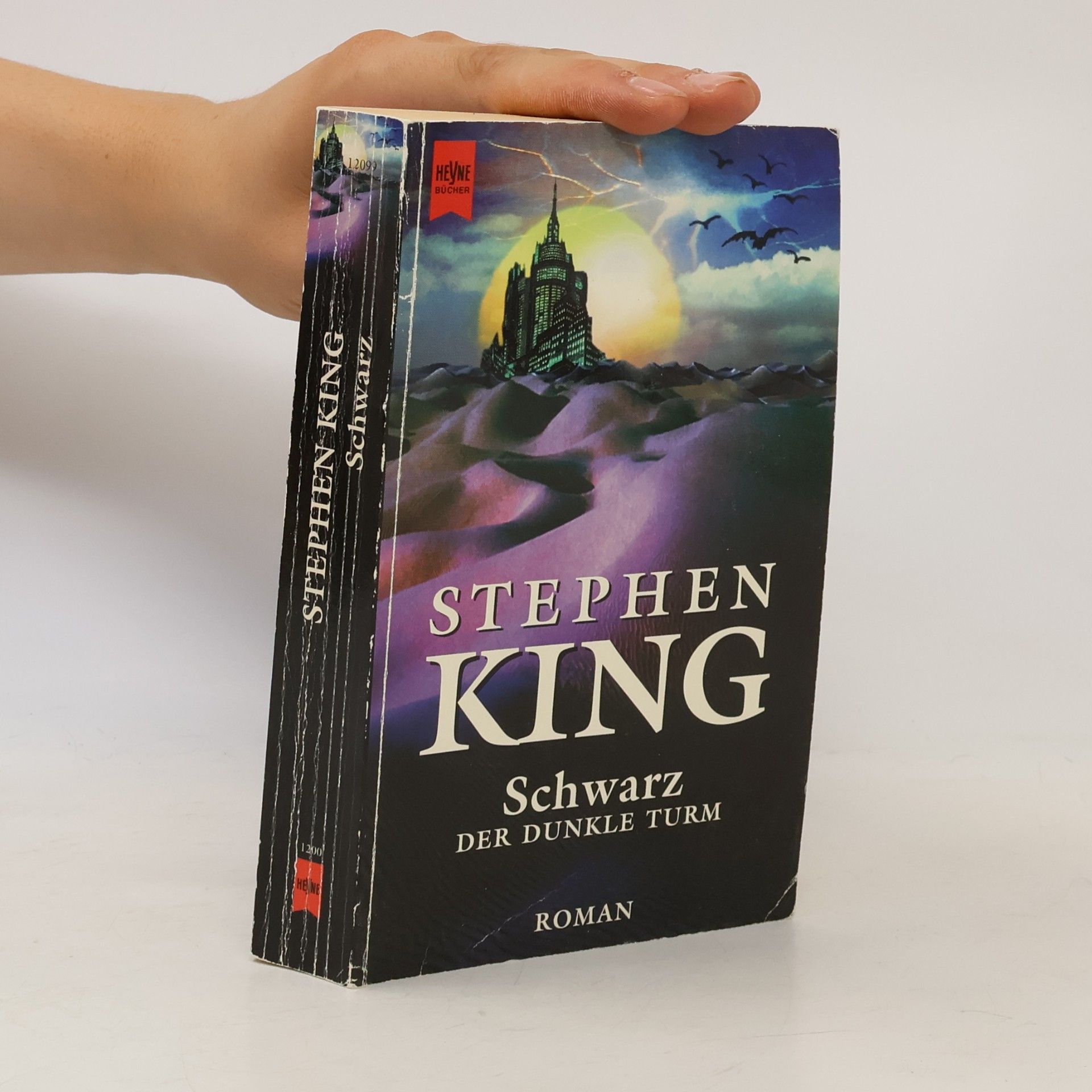 Stephen King Schwarz. Der Dunkle Turm