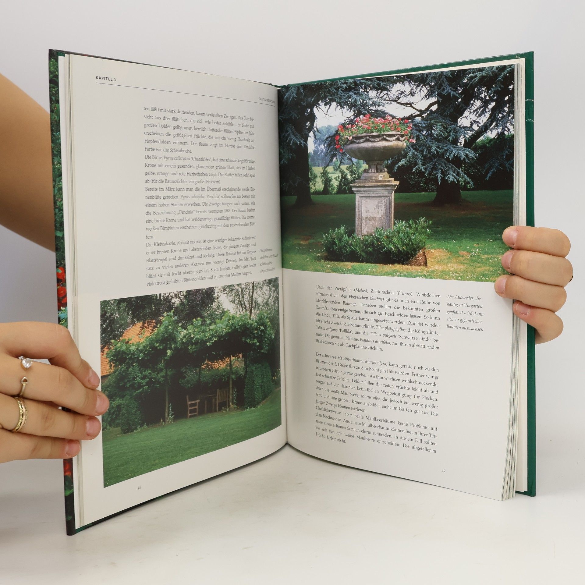Fieke Hoogvelt Gartengestaltung