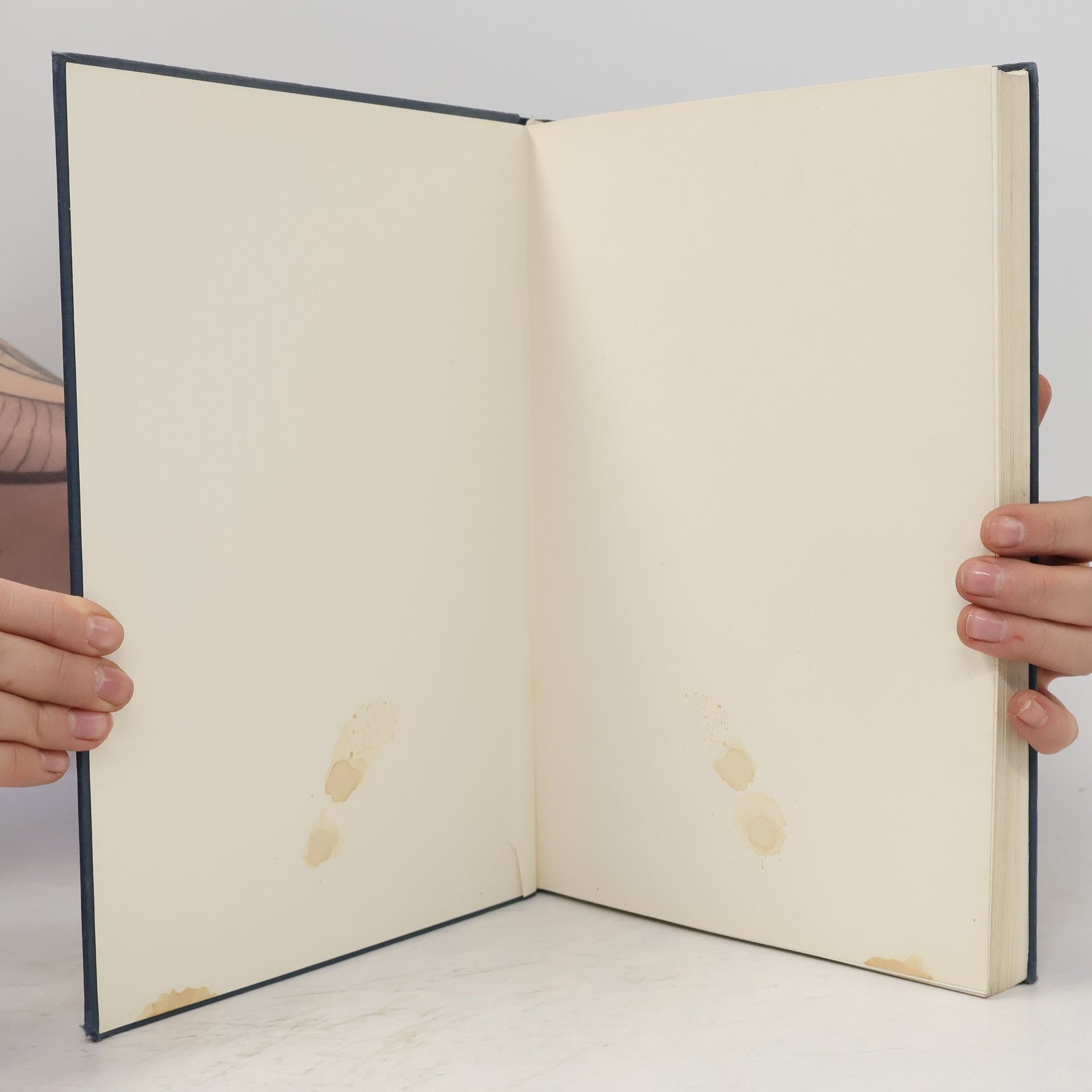Ferenc Kiss Atlas anatómie človeka III