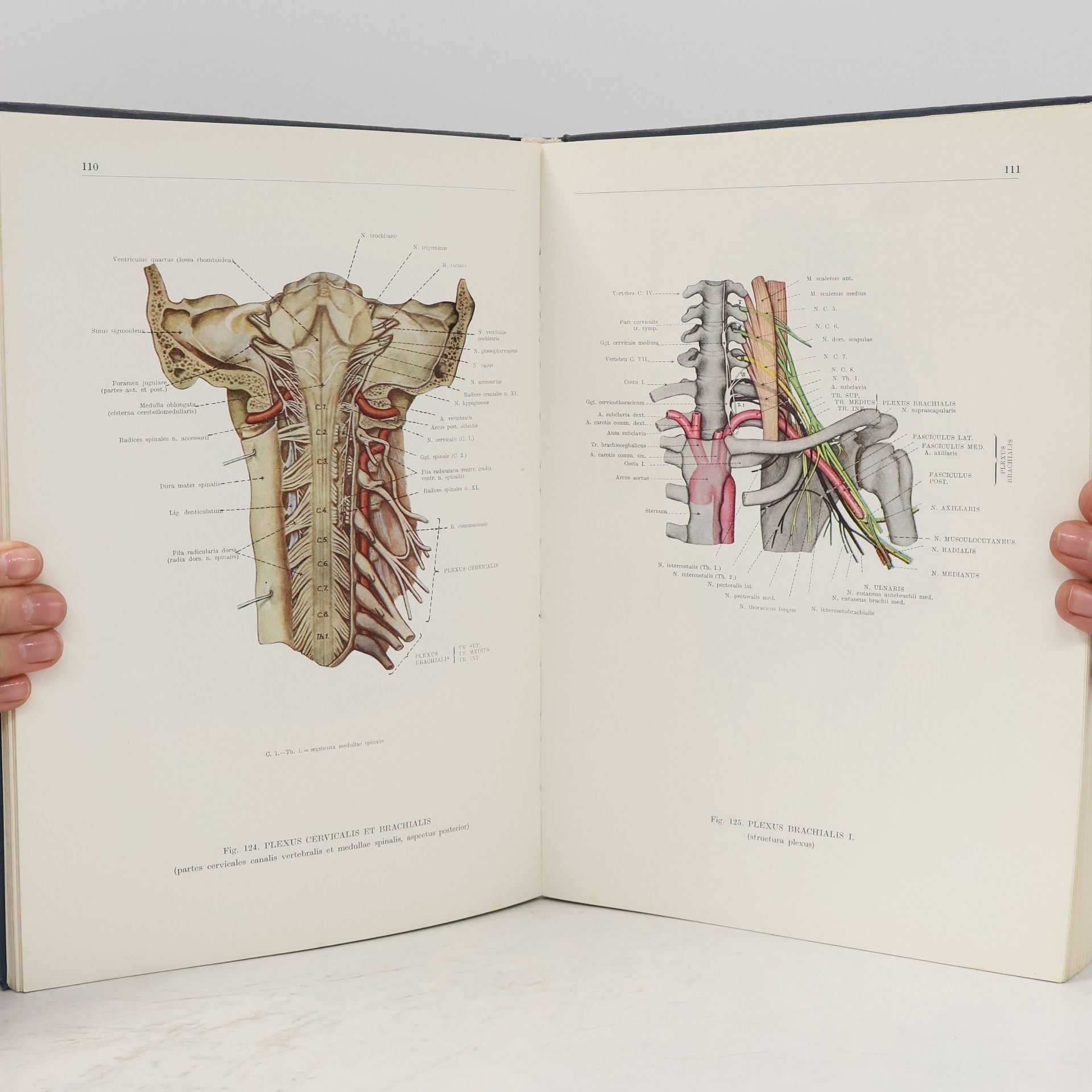 Ferenc Kiss Atlas anatómie človeka III