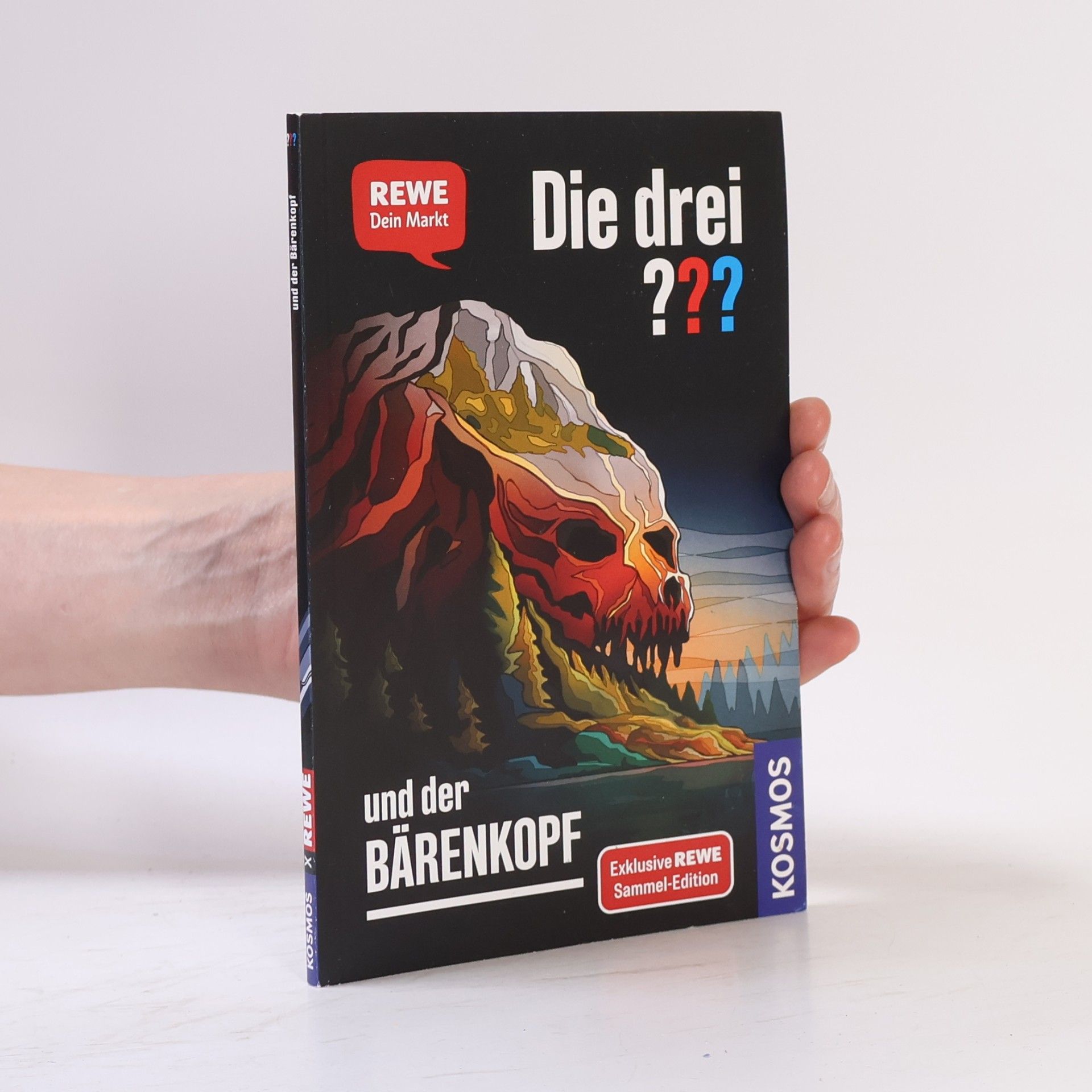 Andreas Ruch Die drei ??? und der Bärenkopf