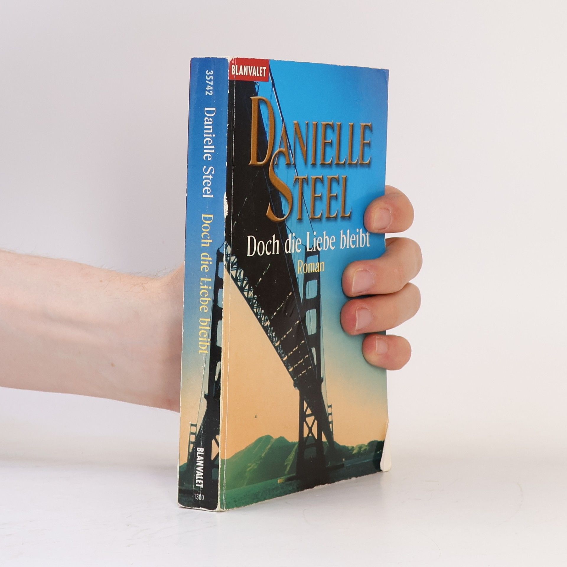 Danielle Steel Doch die Liebe bleibt