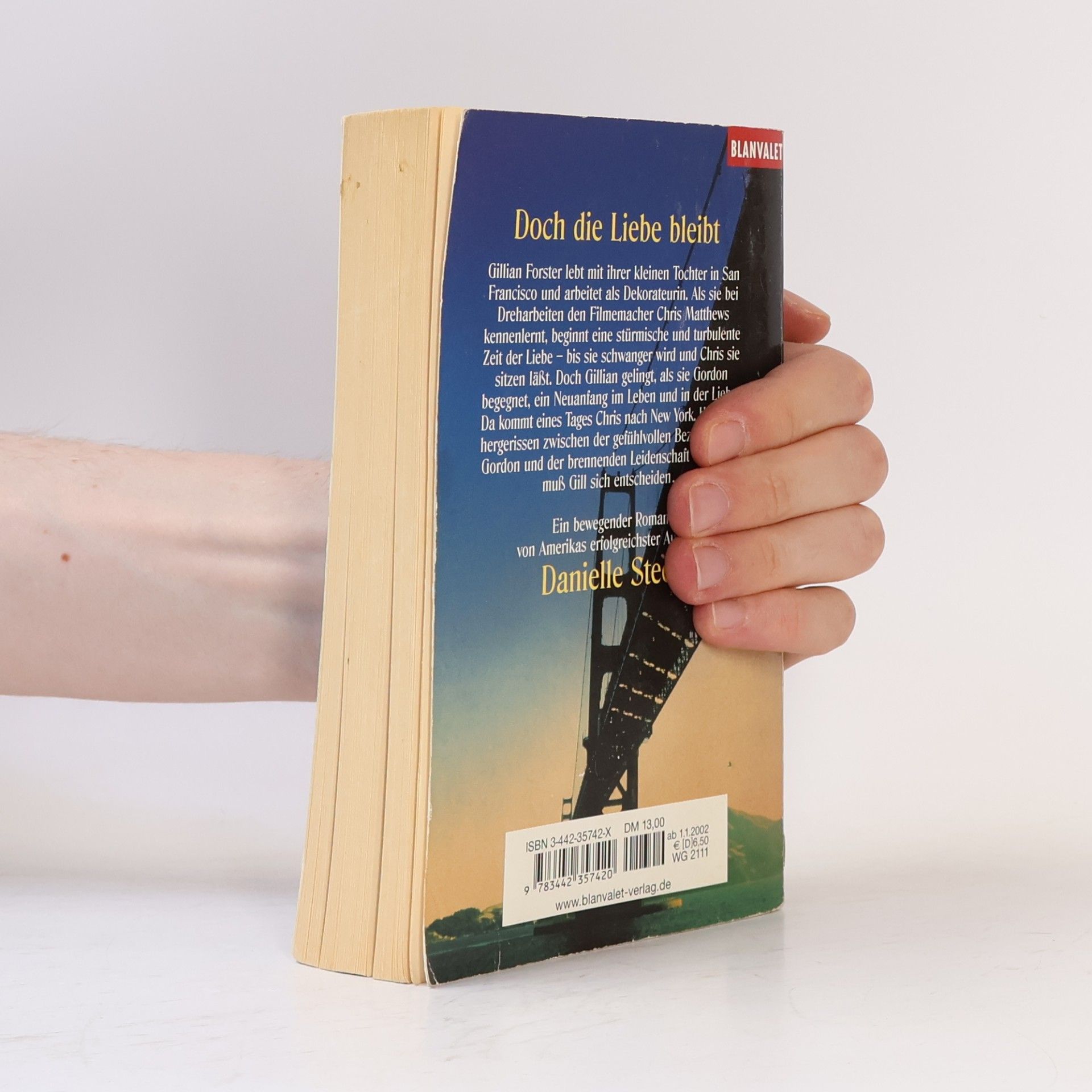 Danielle Steel Doch die Liebe bleibt
