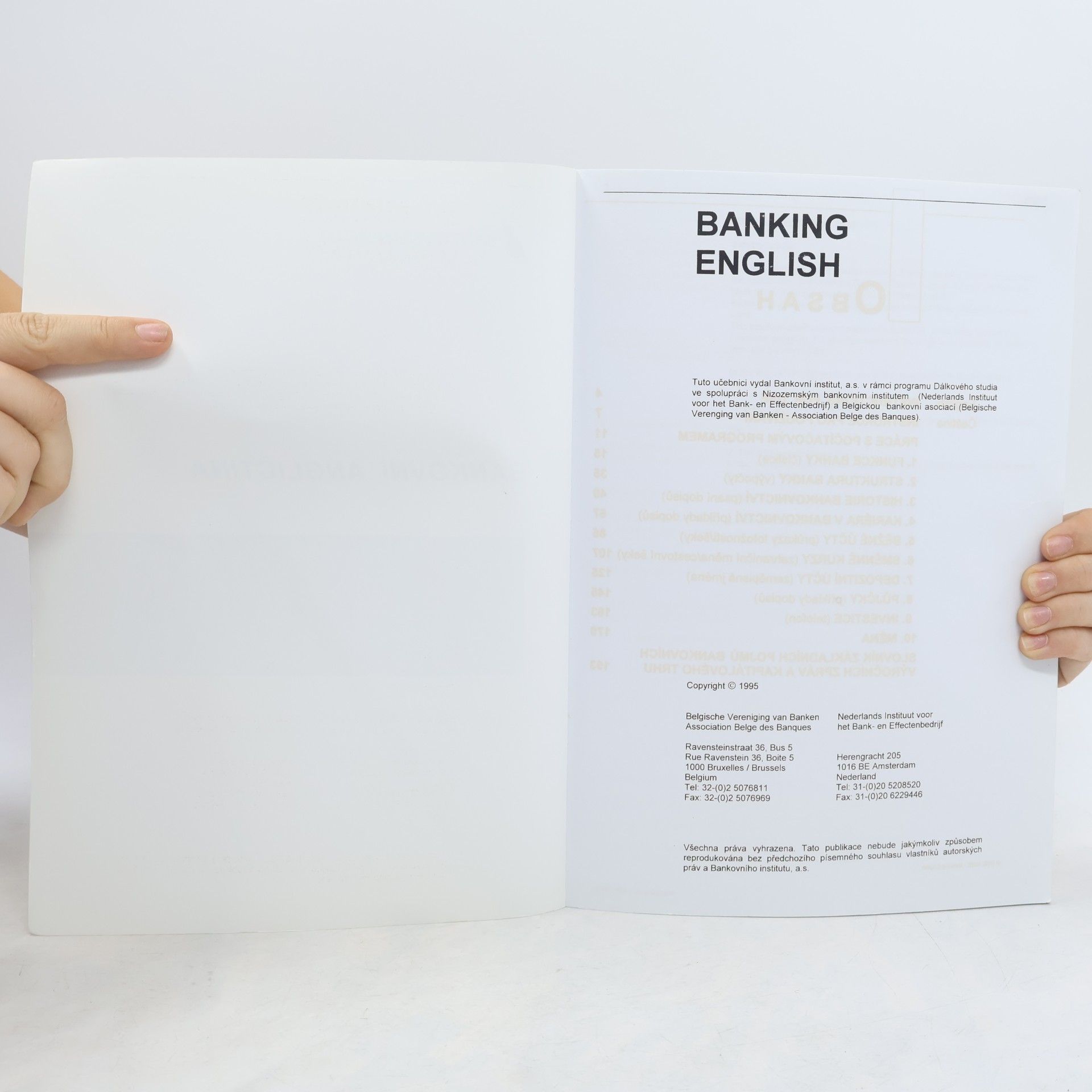 Autorenkollektiv Bankovní angličtina. Banking English