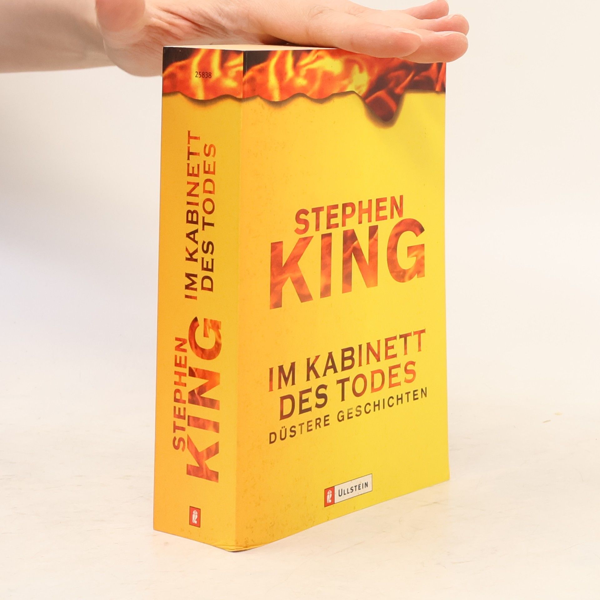 Stephen King Im Kabinett des Todes