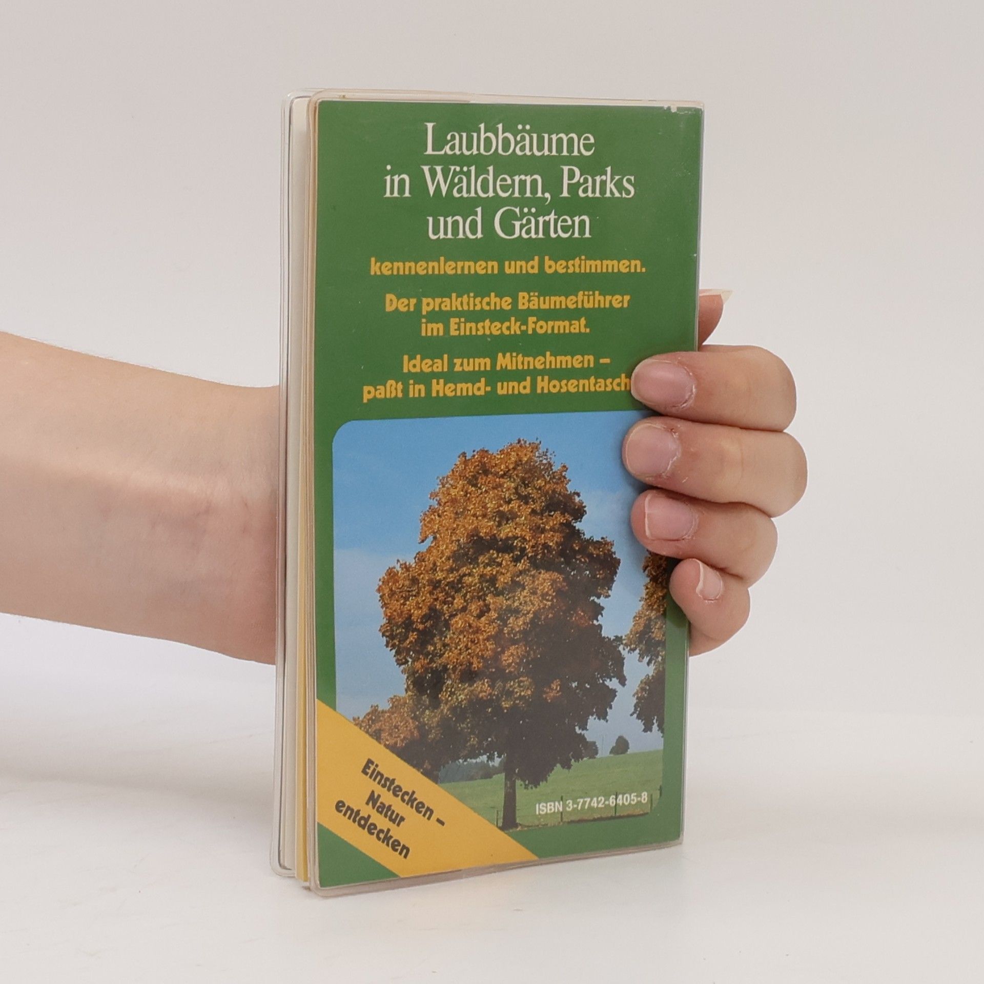 Georg Zauner Zauners Laubbäume-Kompass