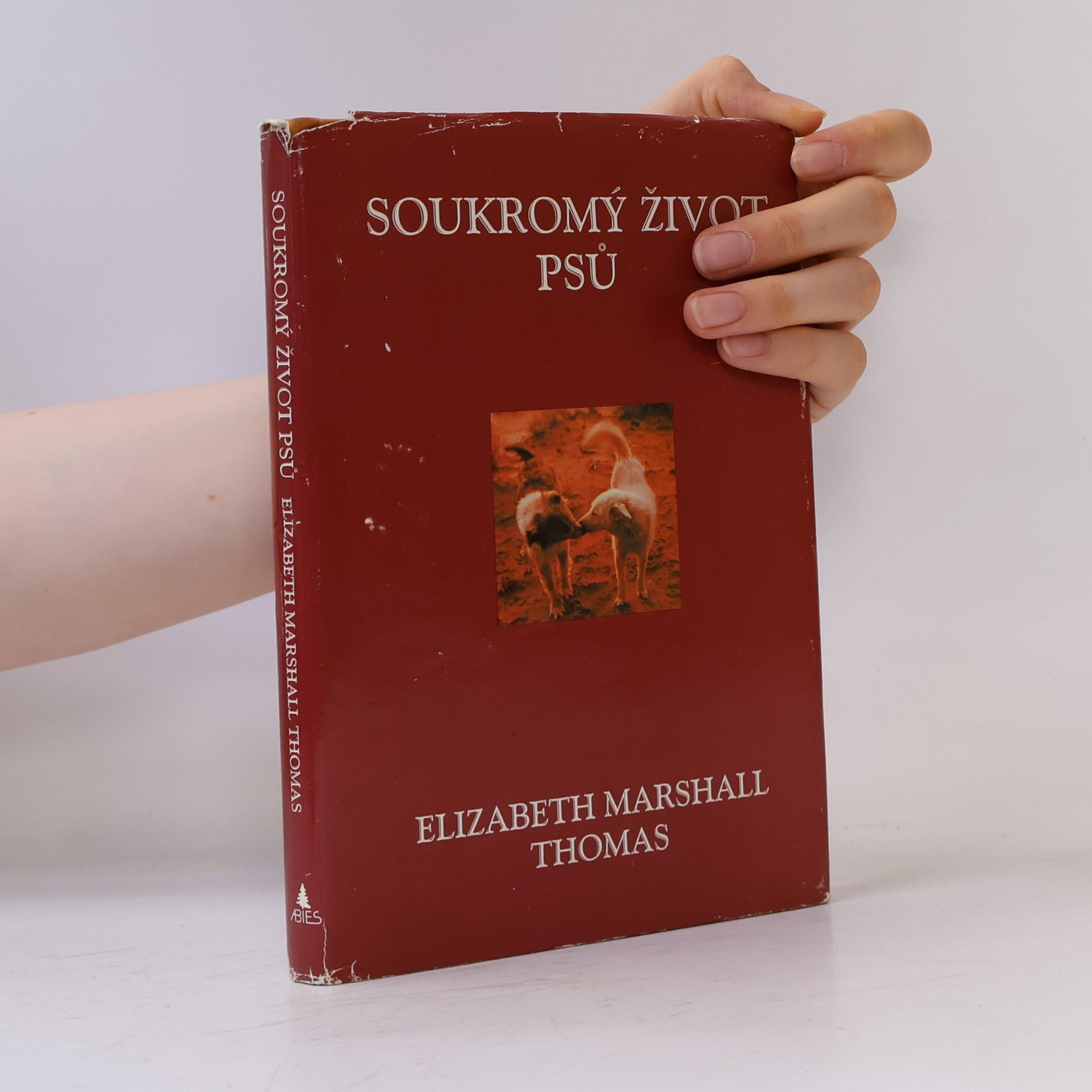 Milada Vencourová Soukromý život psů