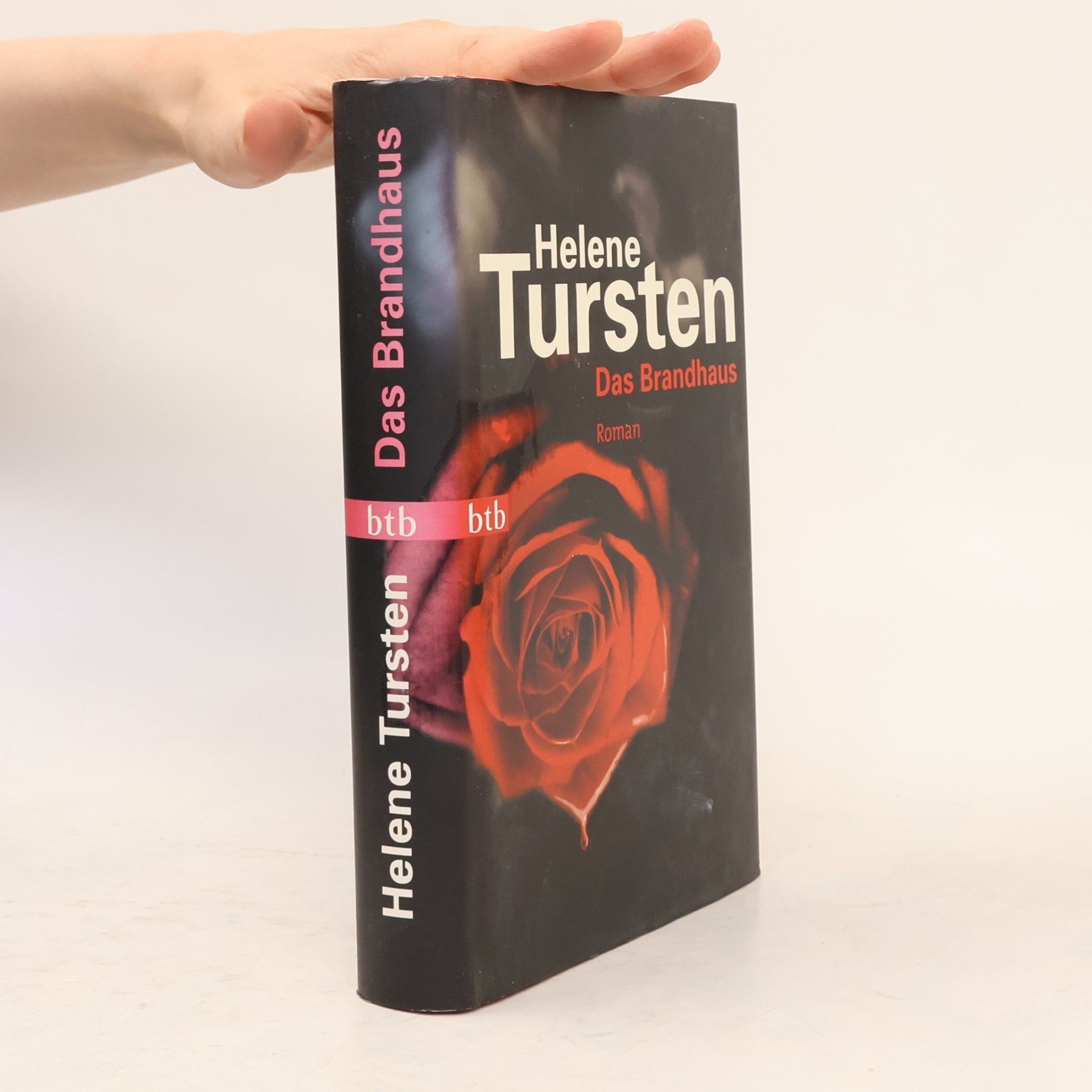 Helene Tursten Das Brandhaus