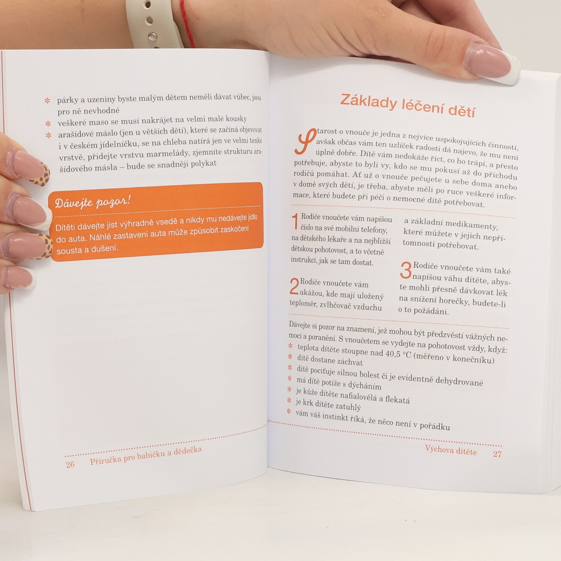 Elizabeth LaBan Příručka pro babičku a dědečka