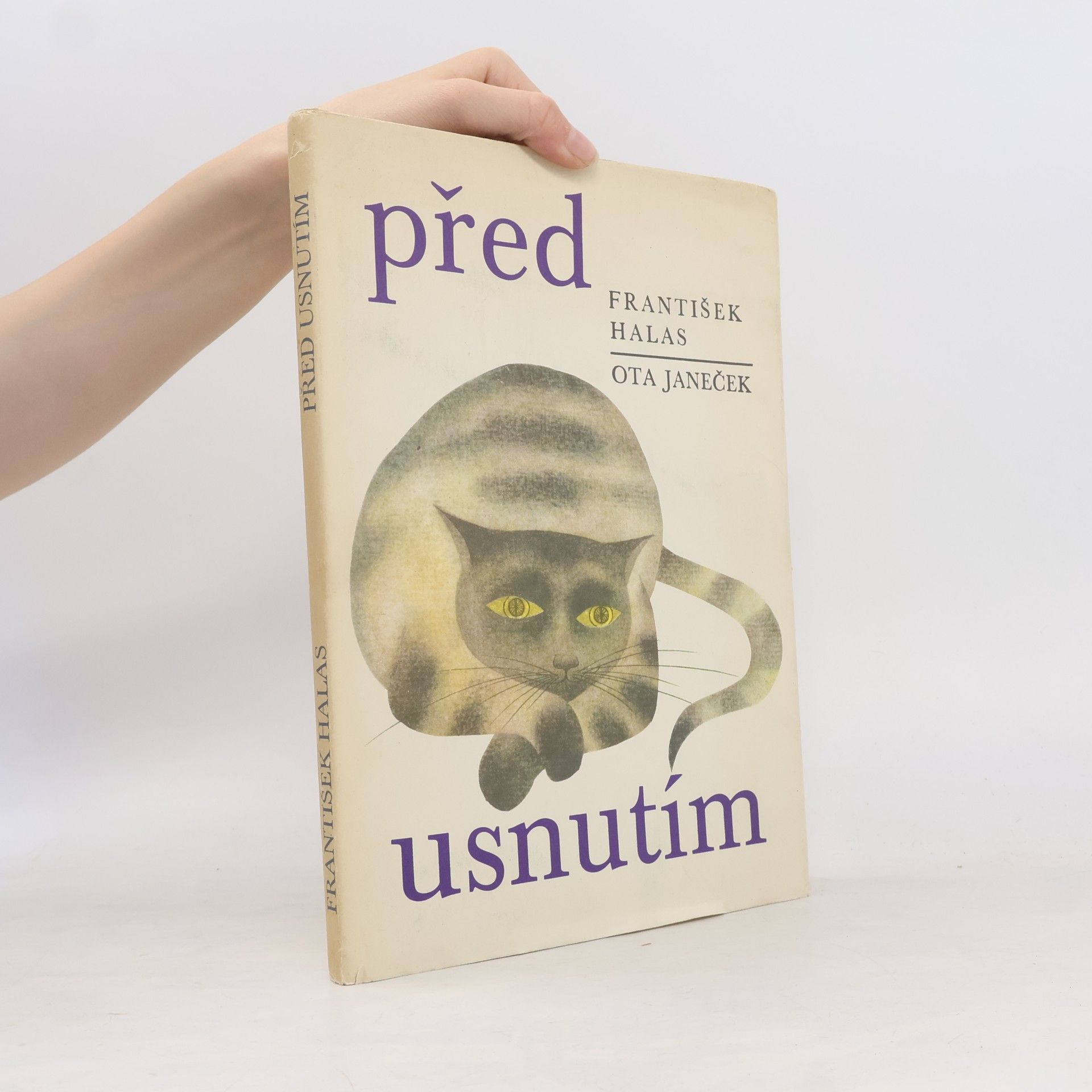 Před usnutím