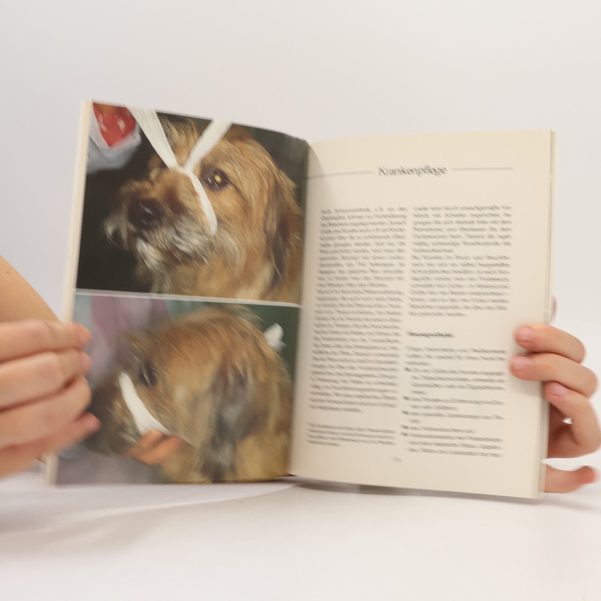 Helga Brehm Unser Hund ist krank